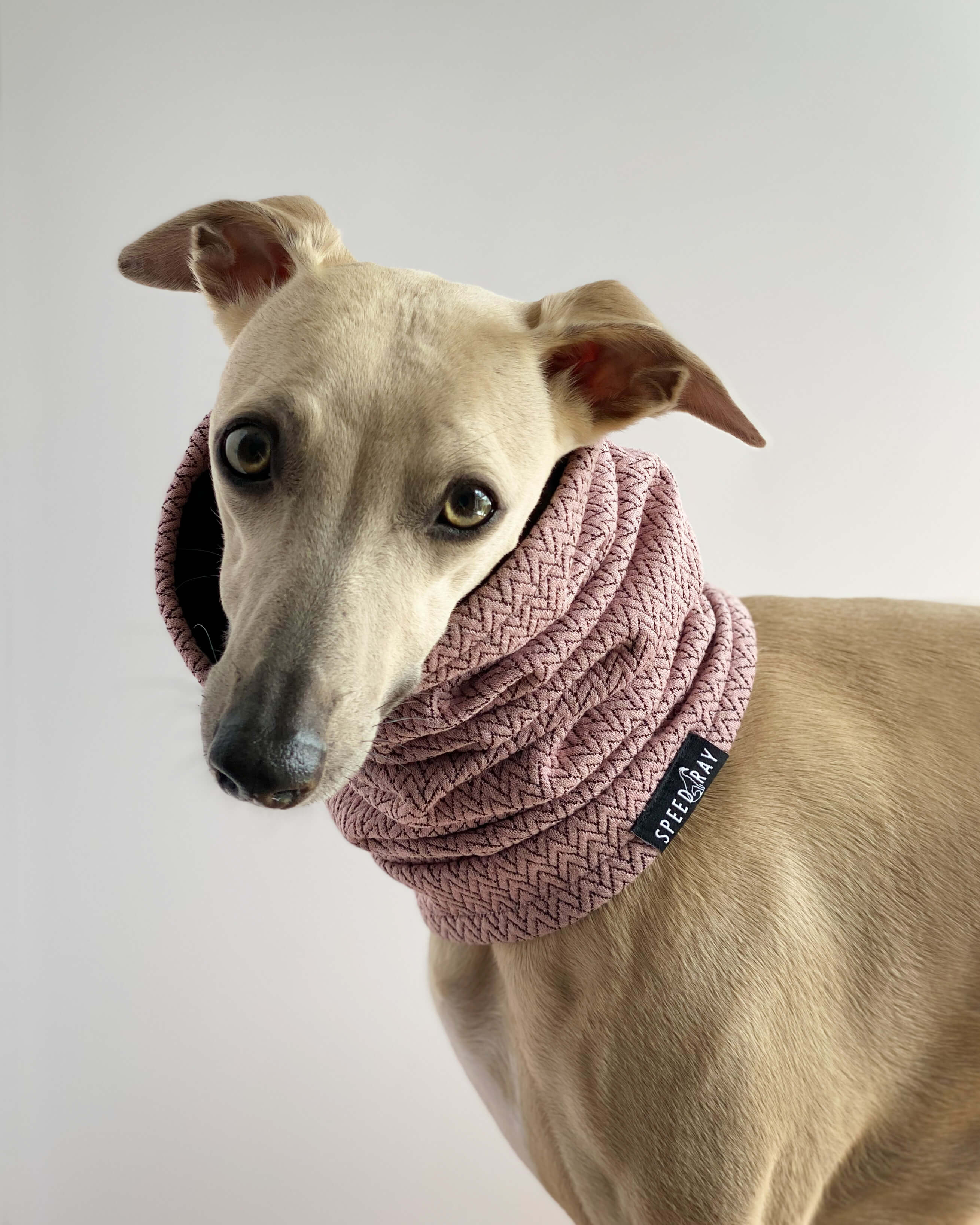 Sighthound Snoods