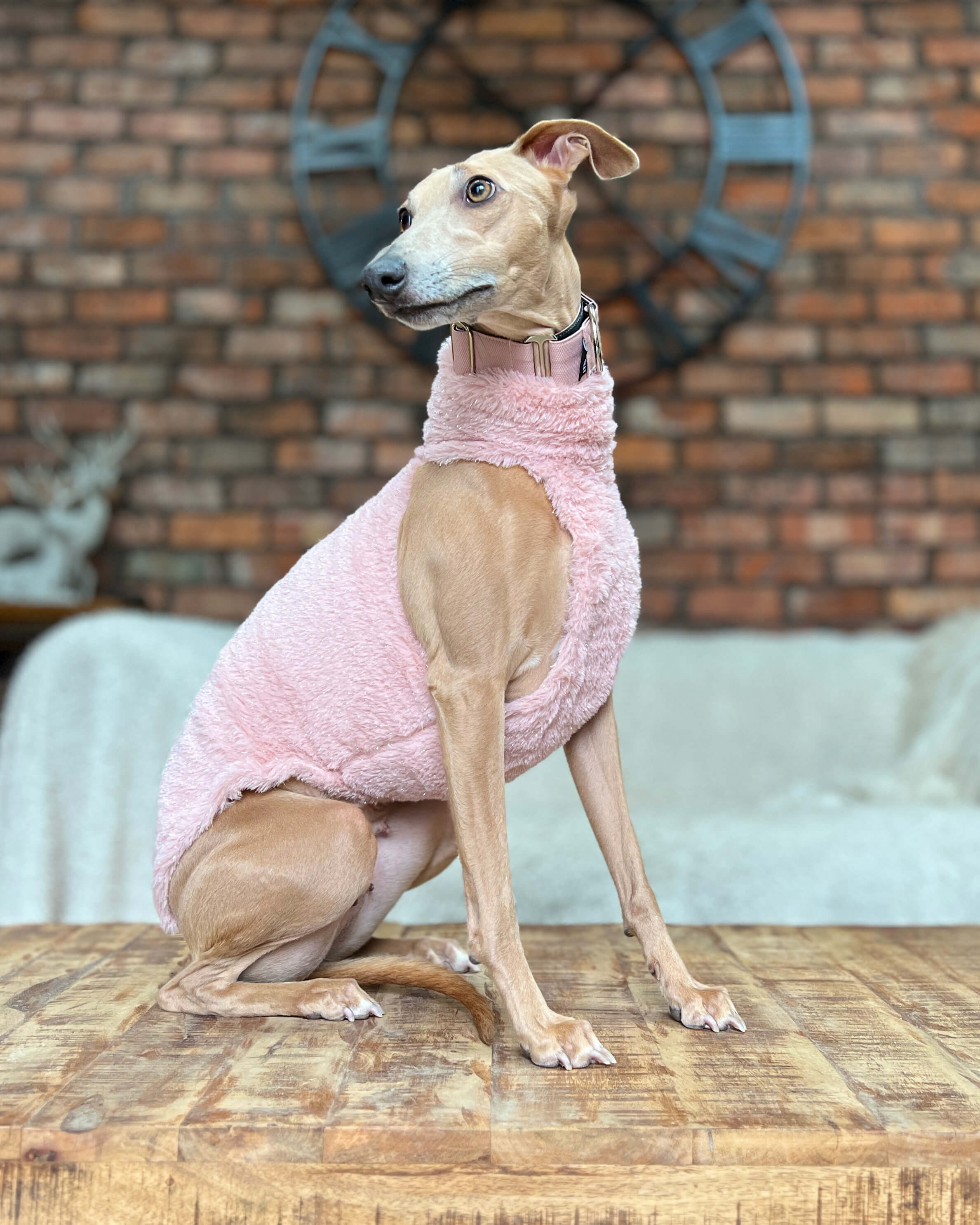 Faux Fur Jumper - Greyhound Size