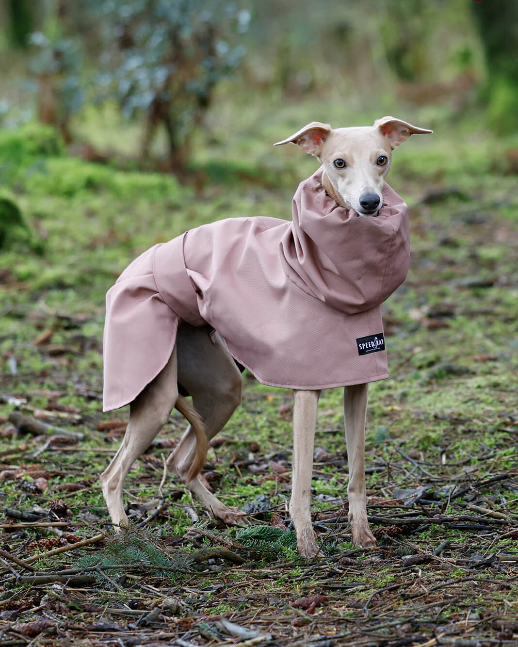 THE ELSA Lightweight, Water Resistant, Whippet Raincoat