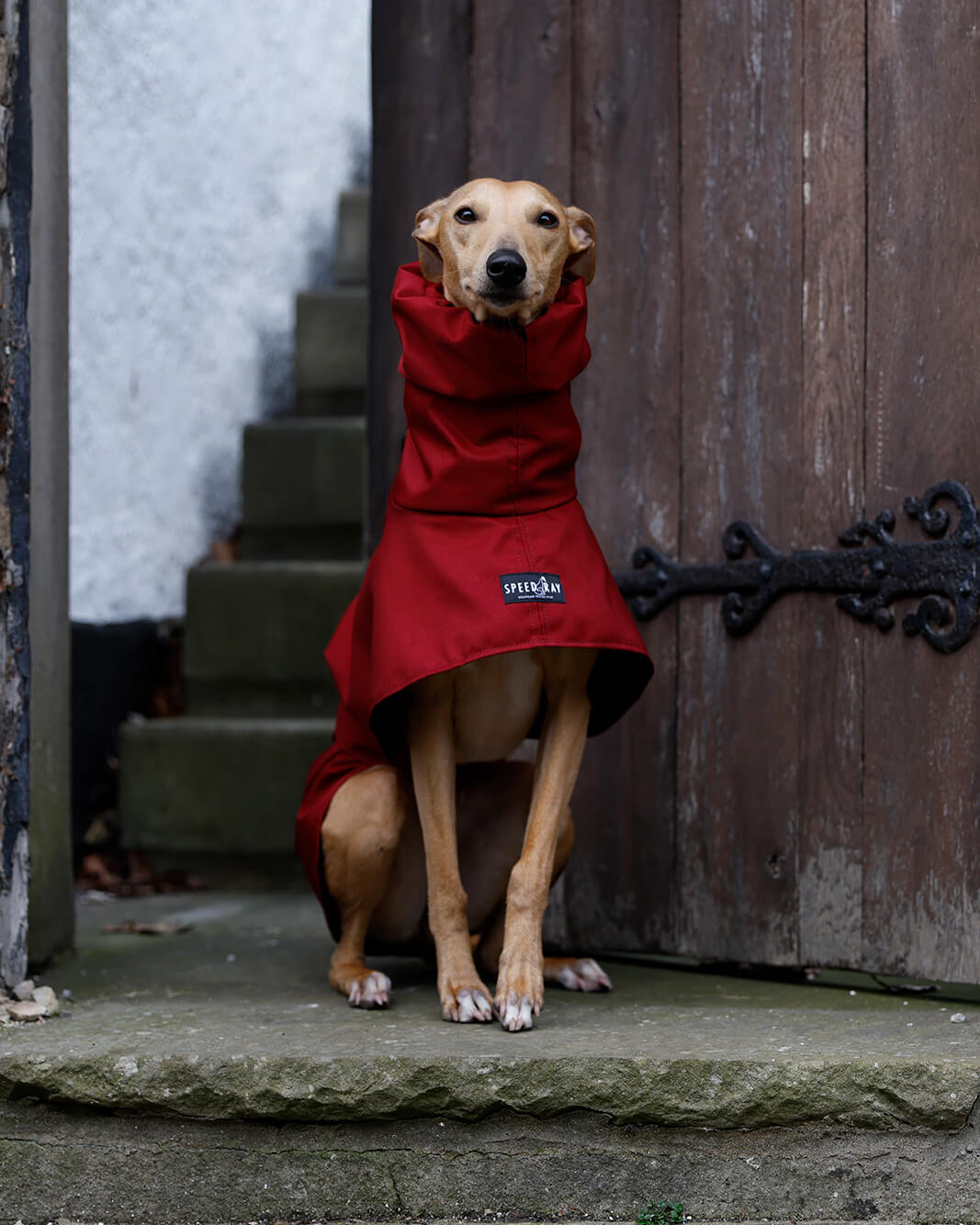 THE ELSA Lightweight, Water Resistant, Whippet Raincoat