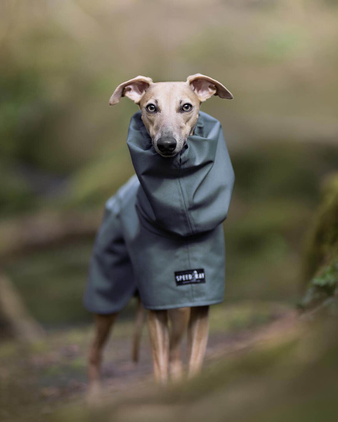 THE ELSA Raincoat - Earthy Tones - Greyhound Size
