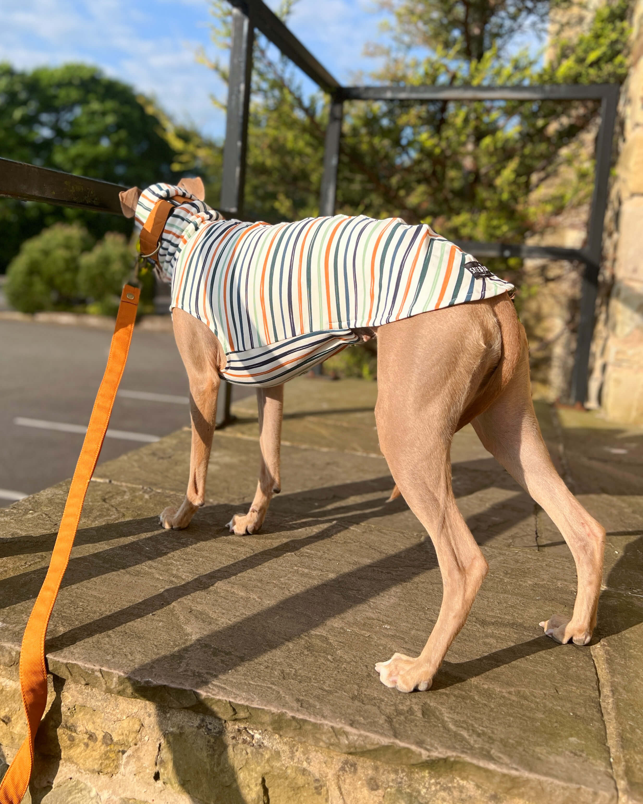 THE ERNIE Jumper - Iggy Size