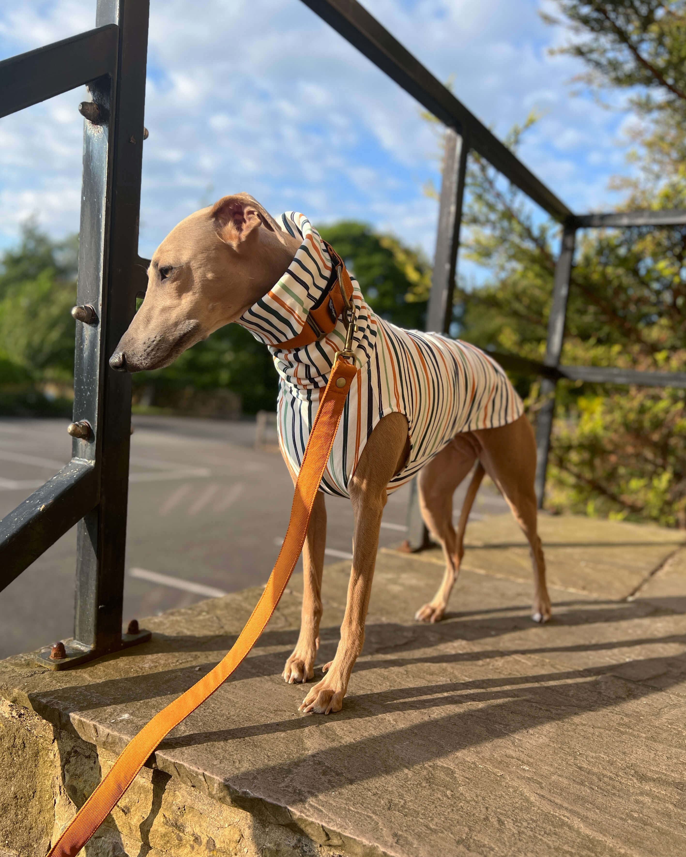 THE ERNIE Jumper - Iggy Size