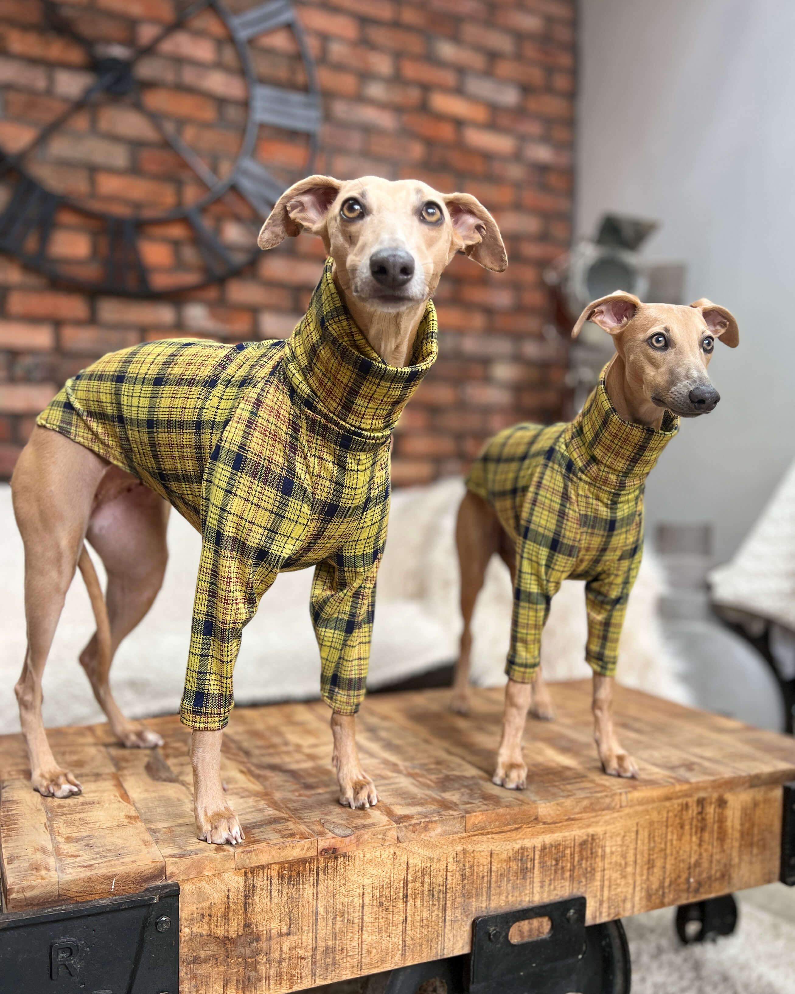 THE WILLOW Lightweight Tartan Check Whippet Jumper