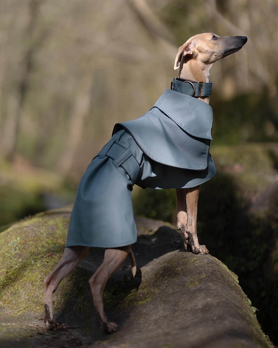 THE ELSA Whippet Trench Raincoat