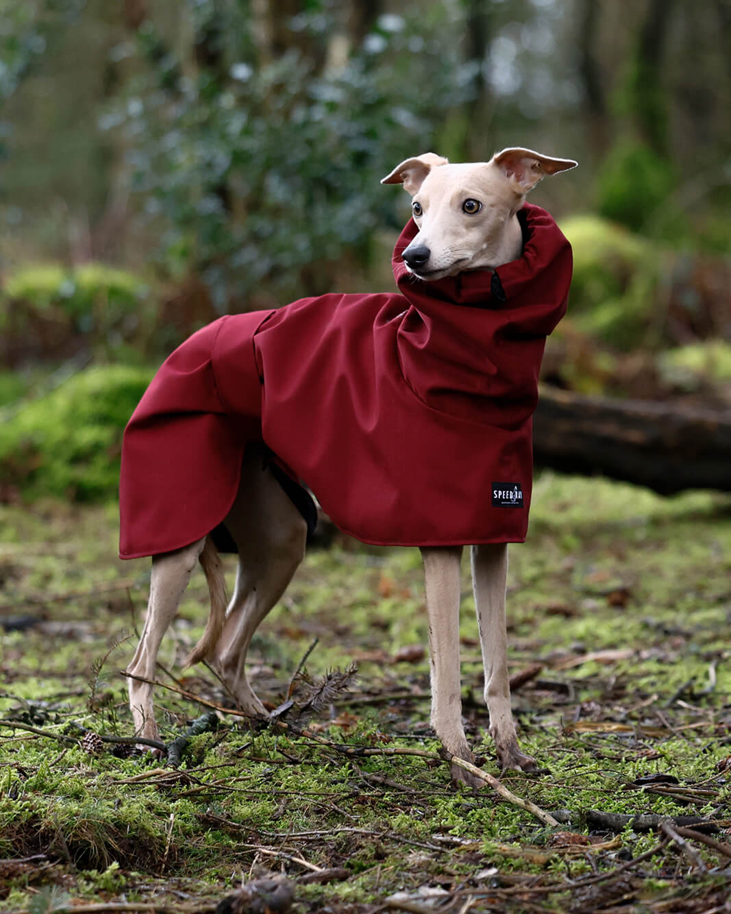 THE ELSA Lightweight, Water Resistant, Whippet Raincoat