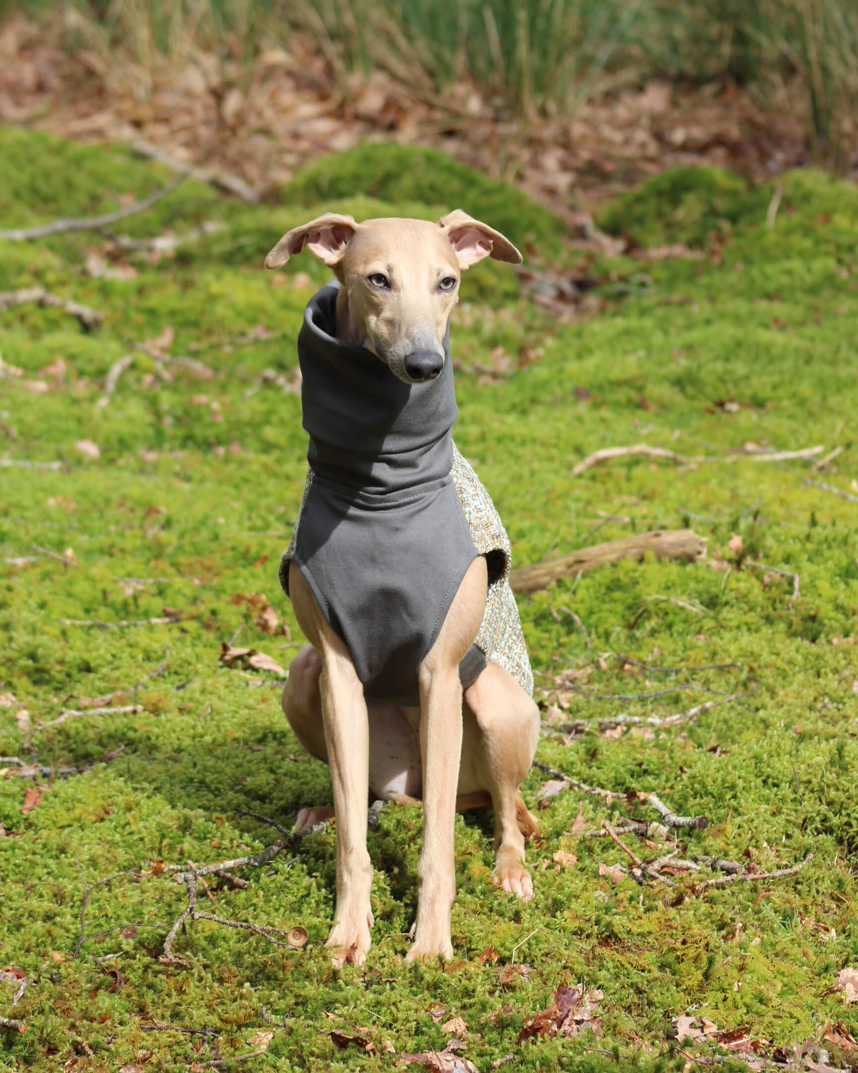 The OPAL Whippet Jumper