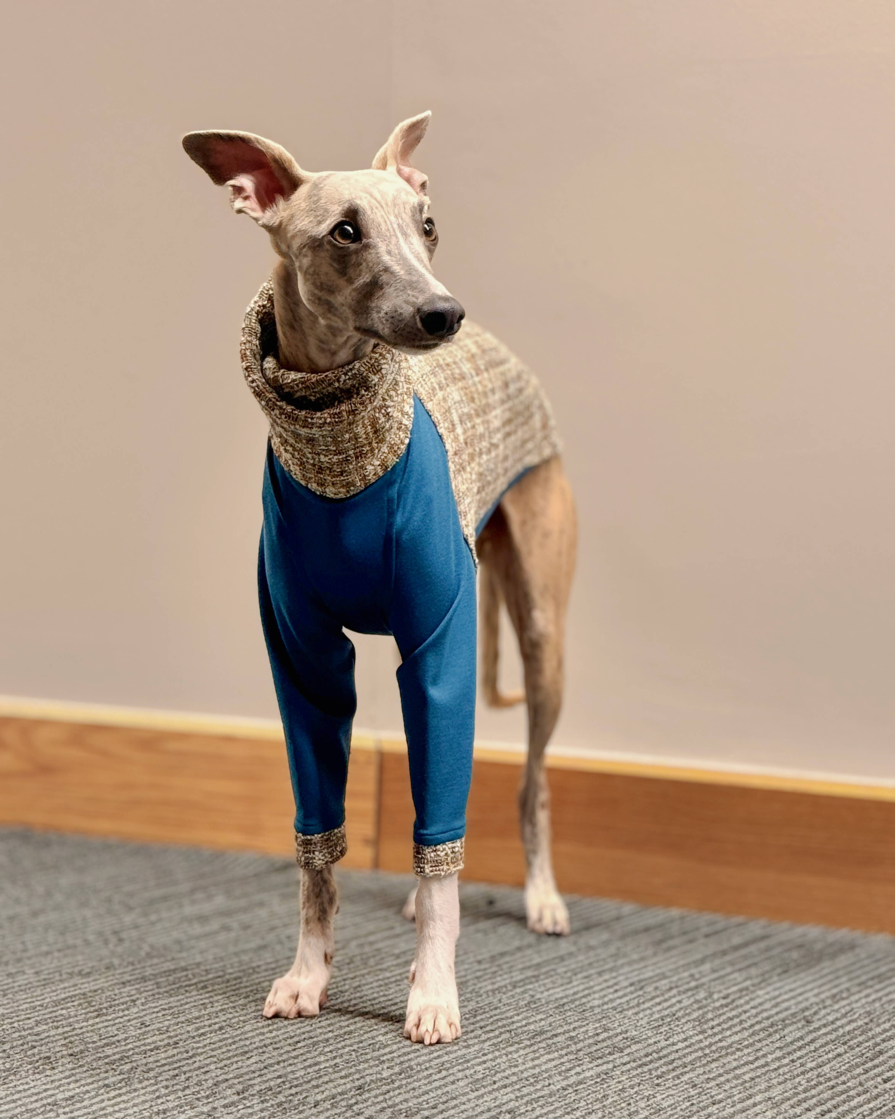 The OPAL Jumper - Greyhound Size