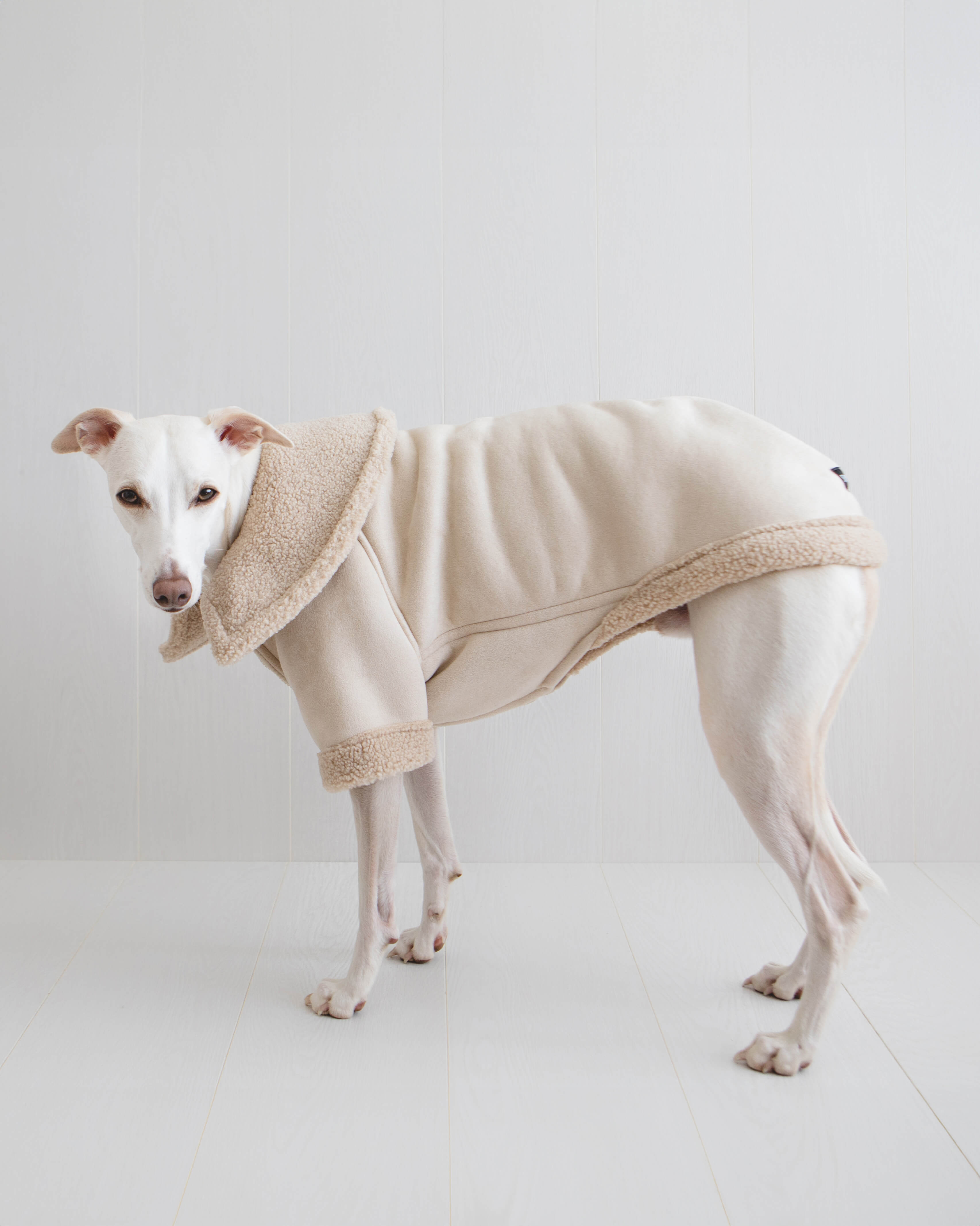 THE ANUBIS Flying Jacket - Greyhound Size
