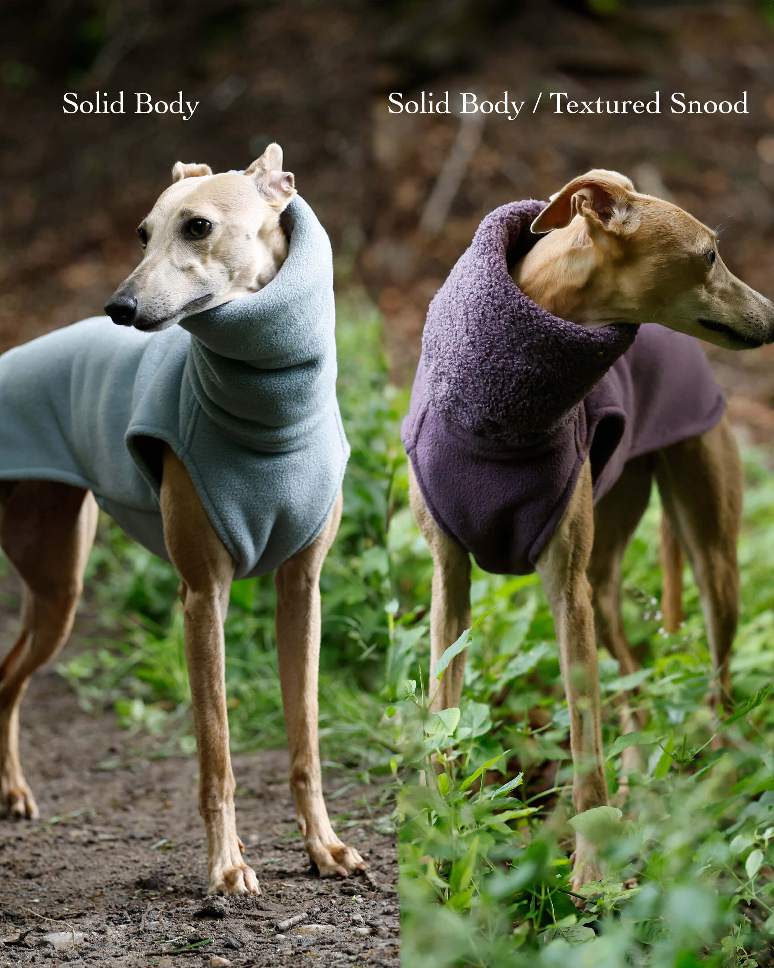 THE BERRY Premium Fleece Whippet Jumper