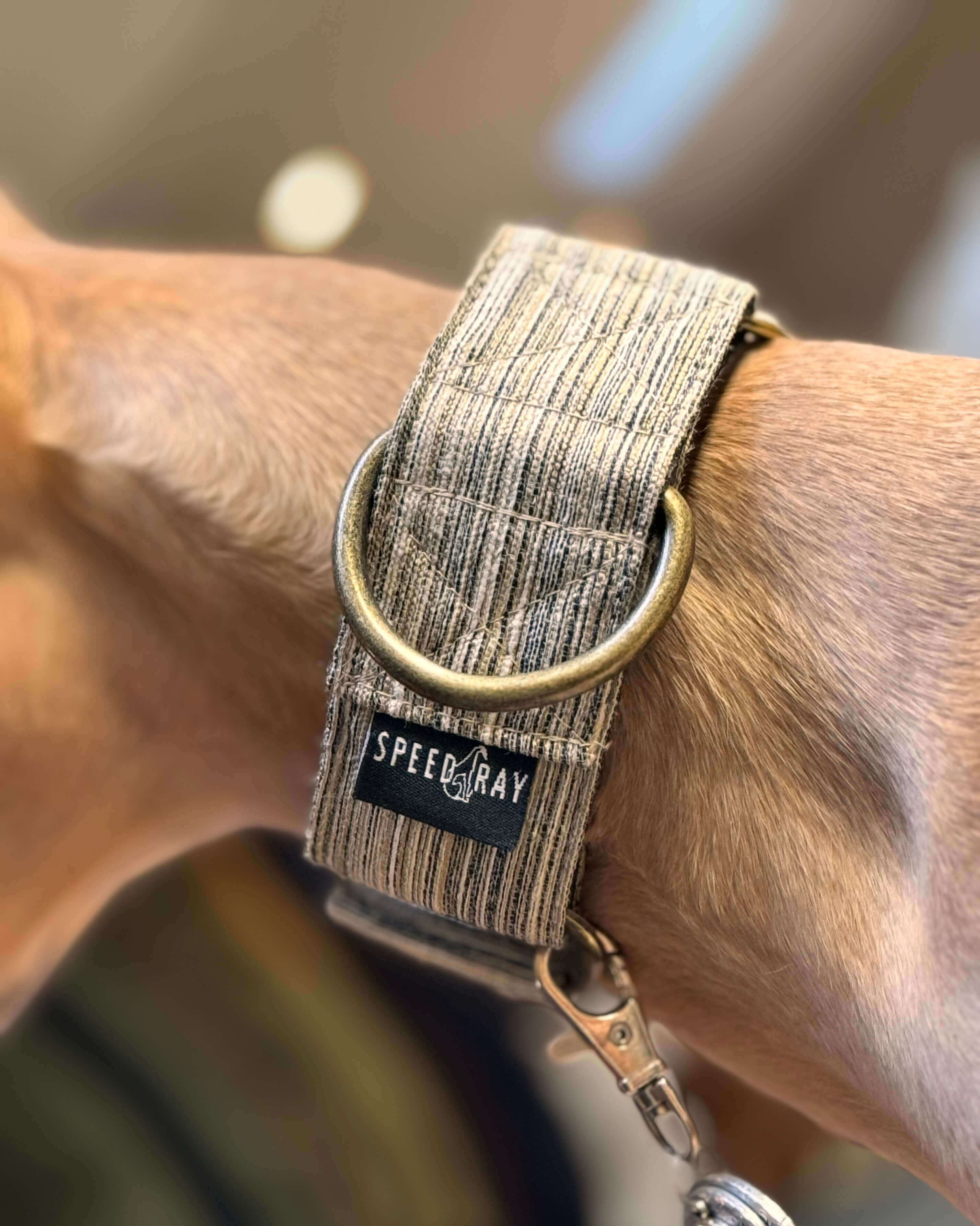 The OBIE Collar