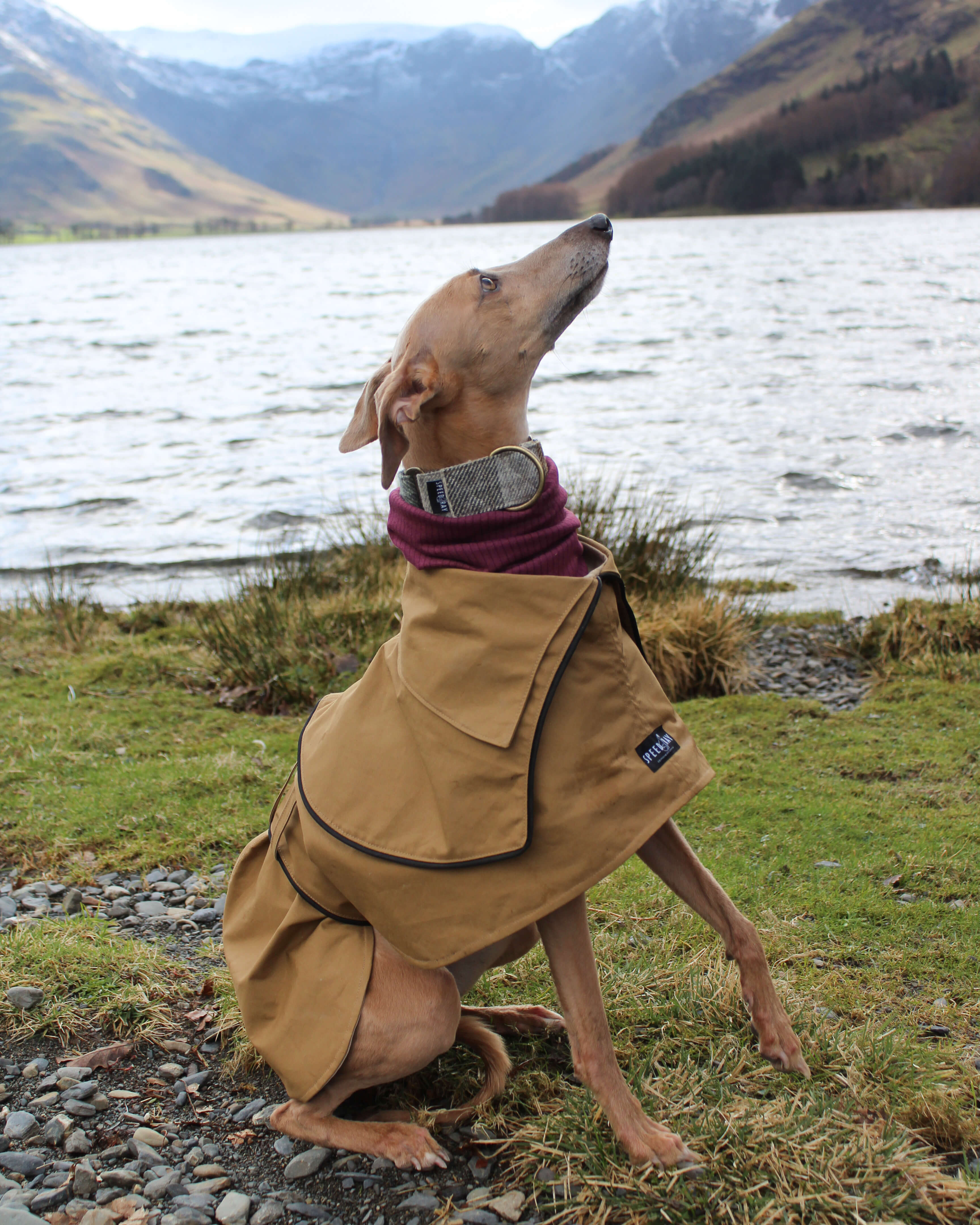 THE ELSA Whippet Trench Wax Jacket