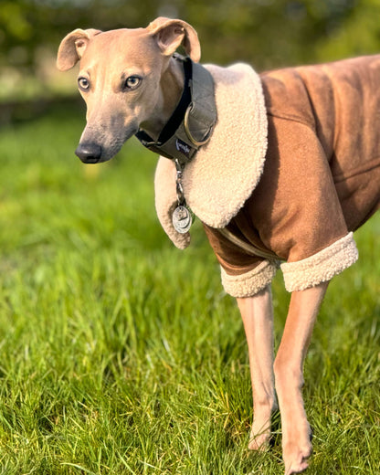 THE ANUBIS Whippet Flying Jacket