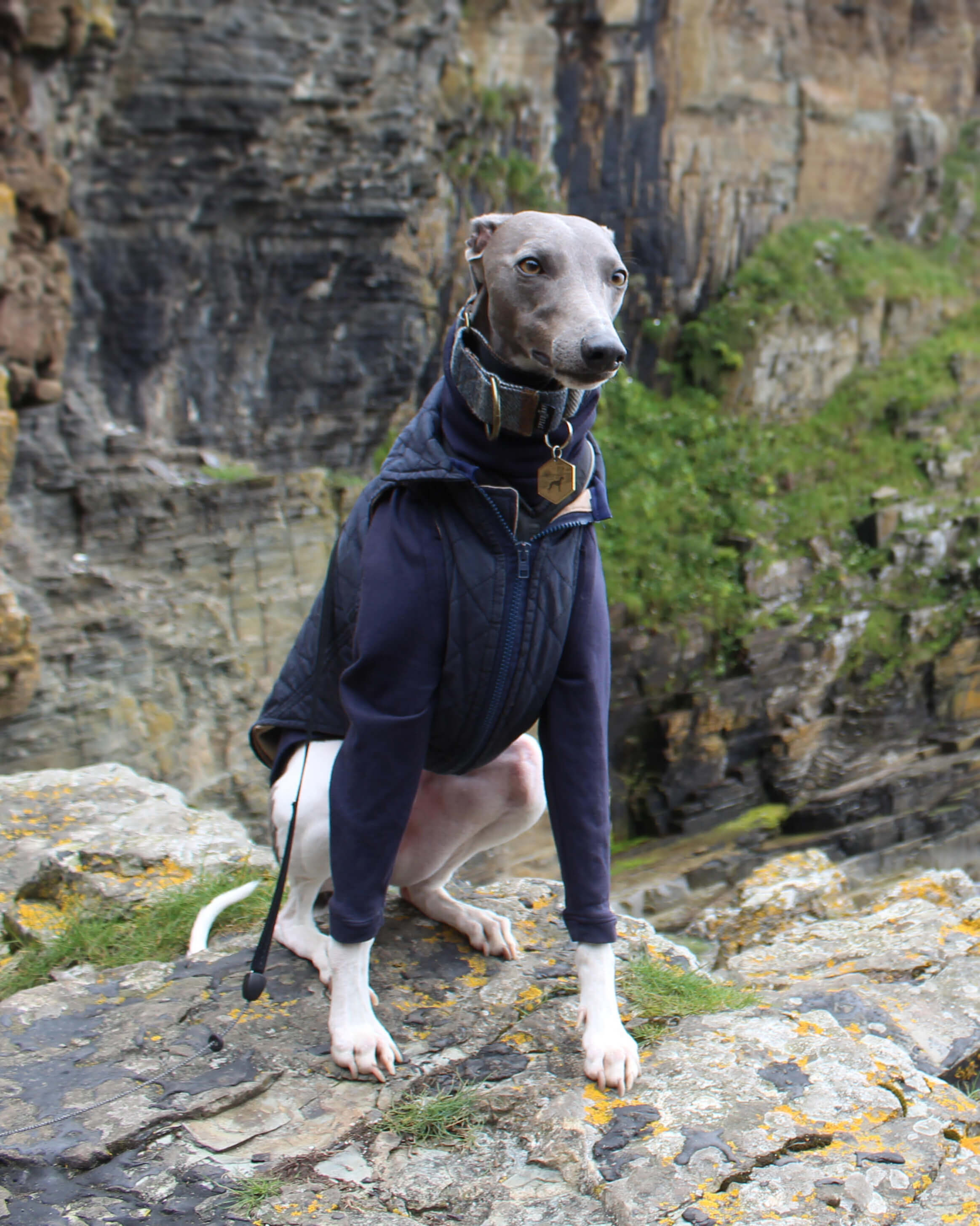 THE MARGOT Whippet Gilet - In Stock