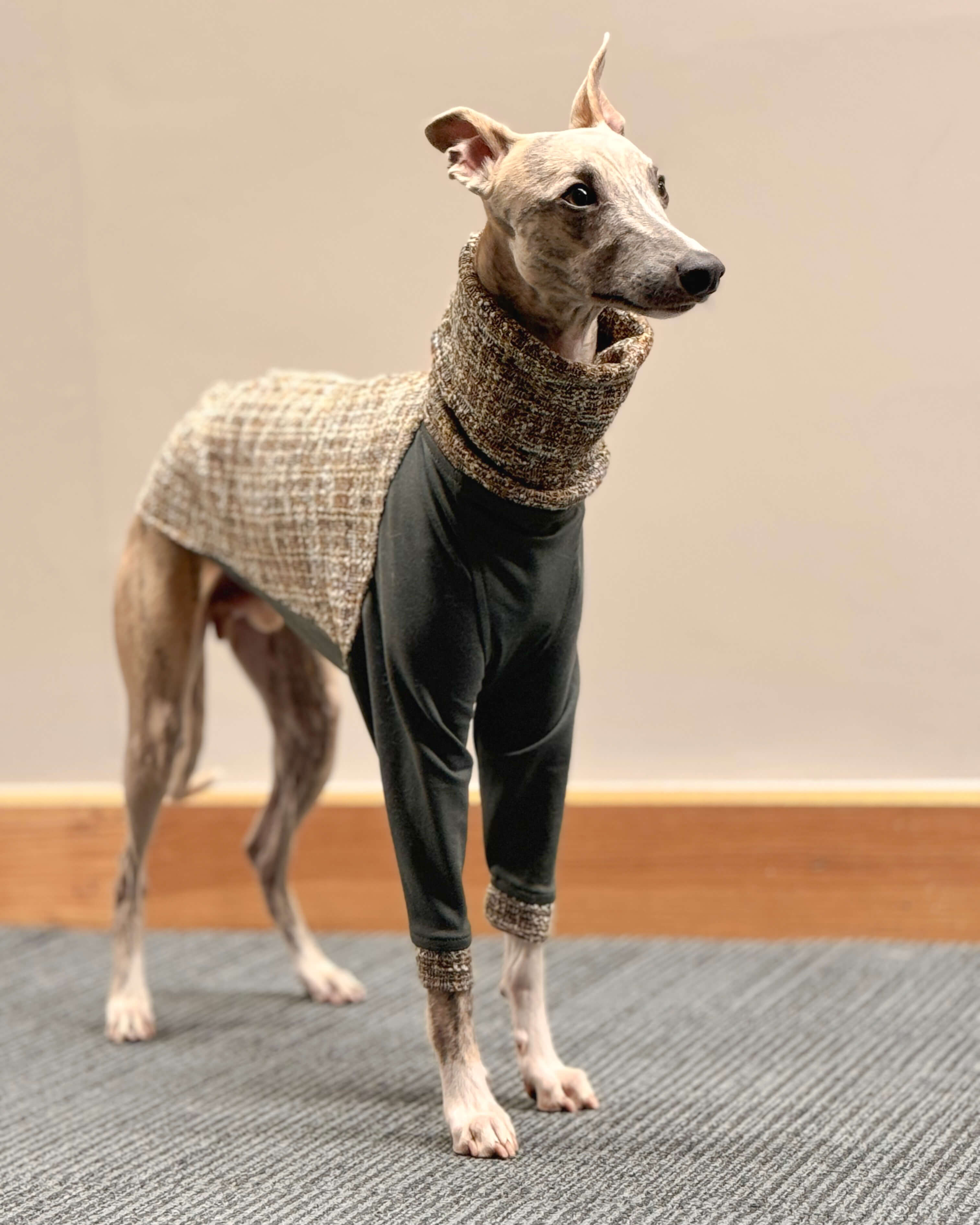 The OPAL Jumper - Greyhound Size