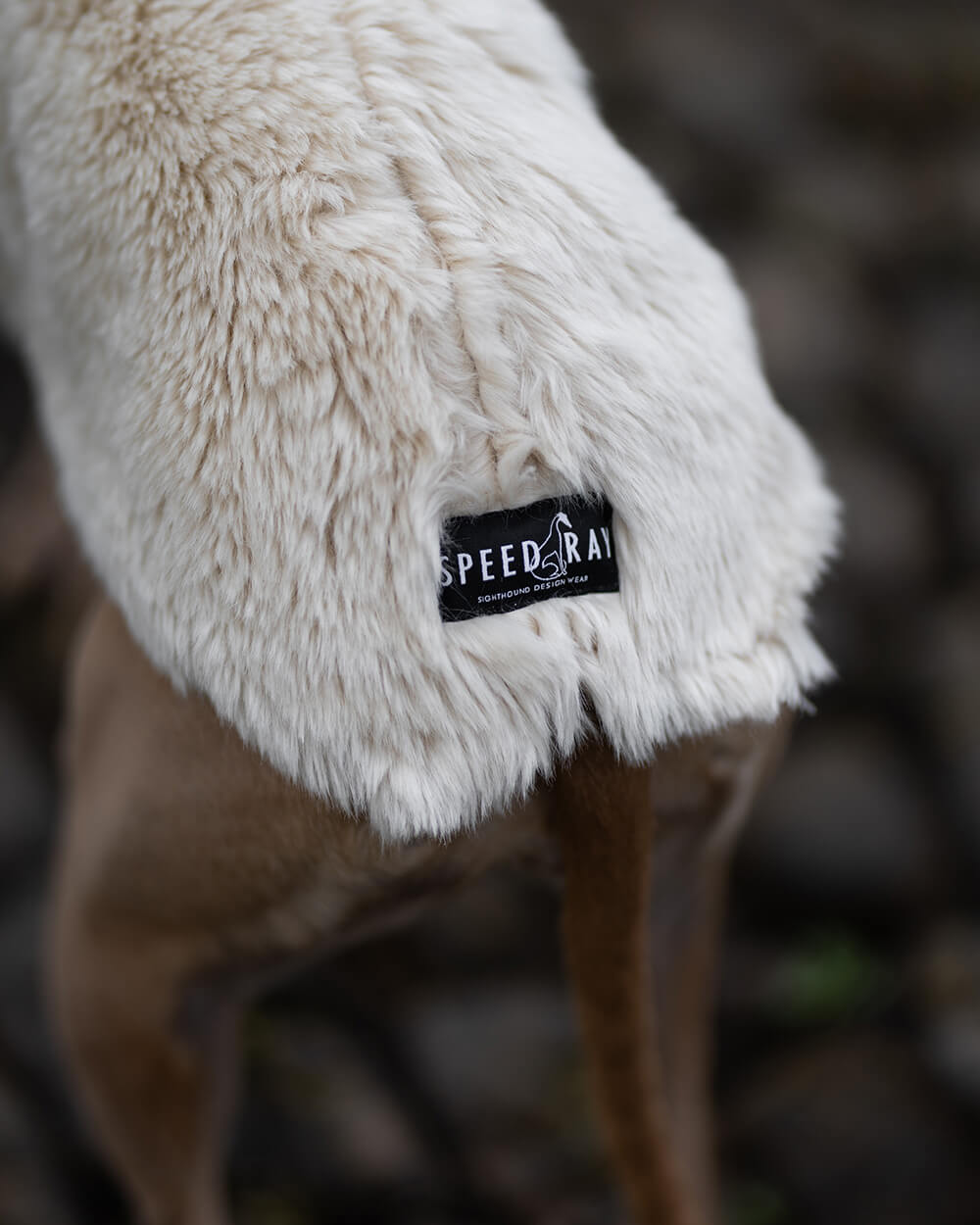 The PANDORA Whippet Jumper
