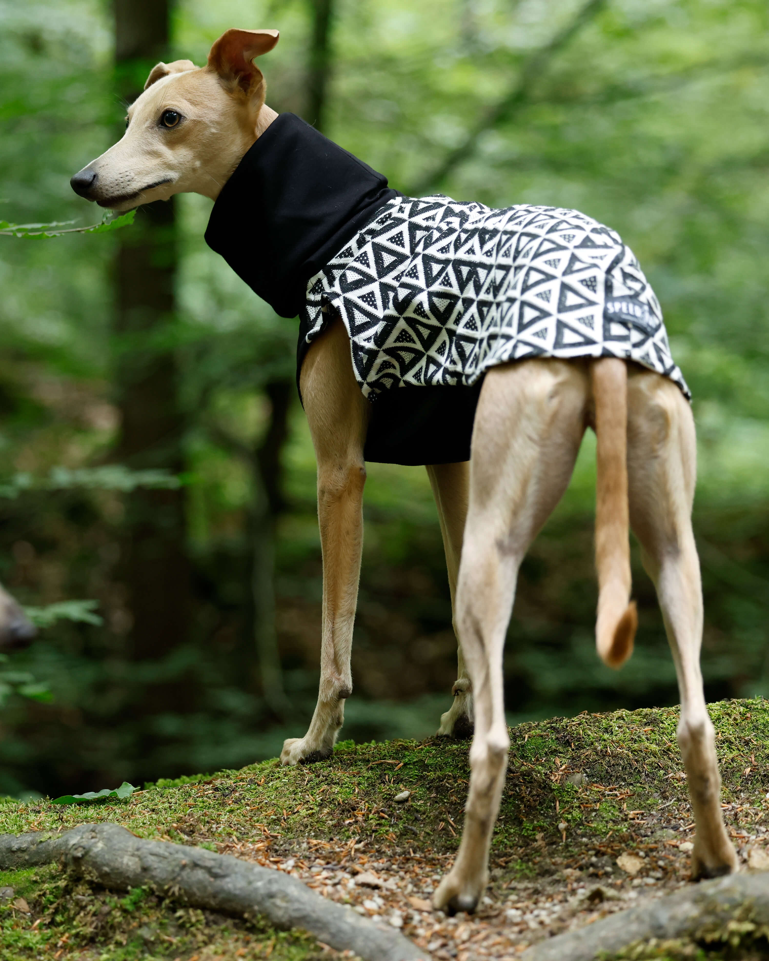 THE MILLIE ESMEE Jumper - Greyhound Size