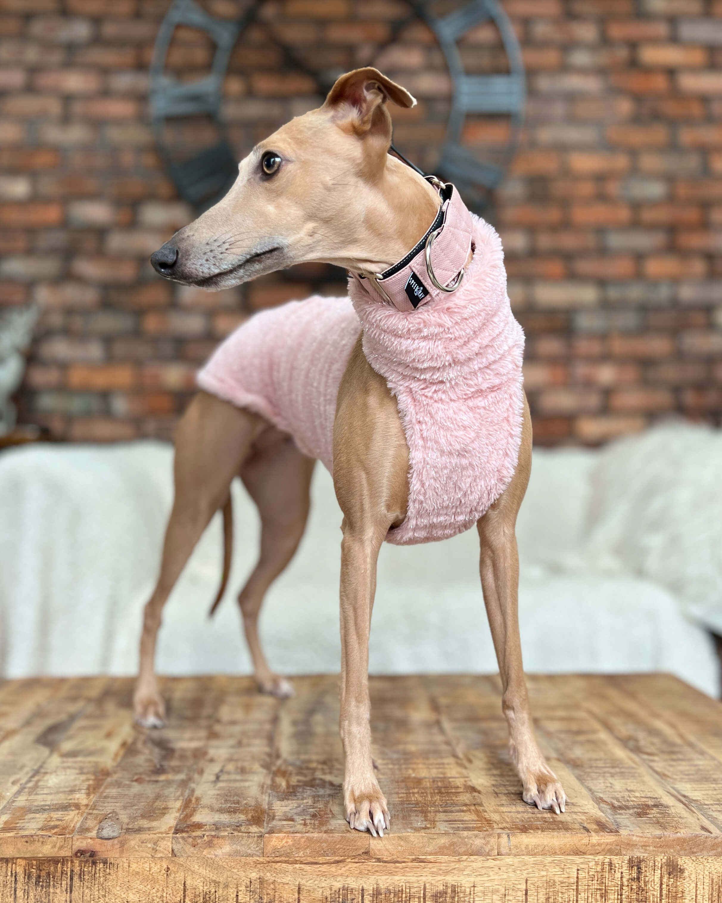 Faux Fur Jumper - Greyhound Size