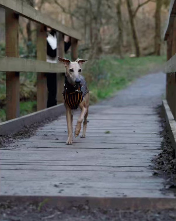 THE WILBERT Stripy T-Shirt Whippet Jumper