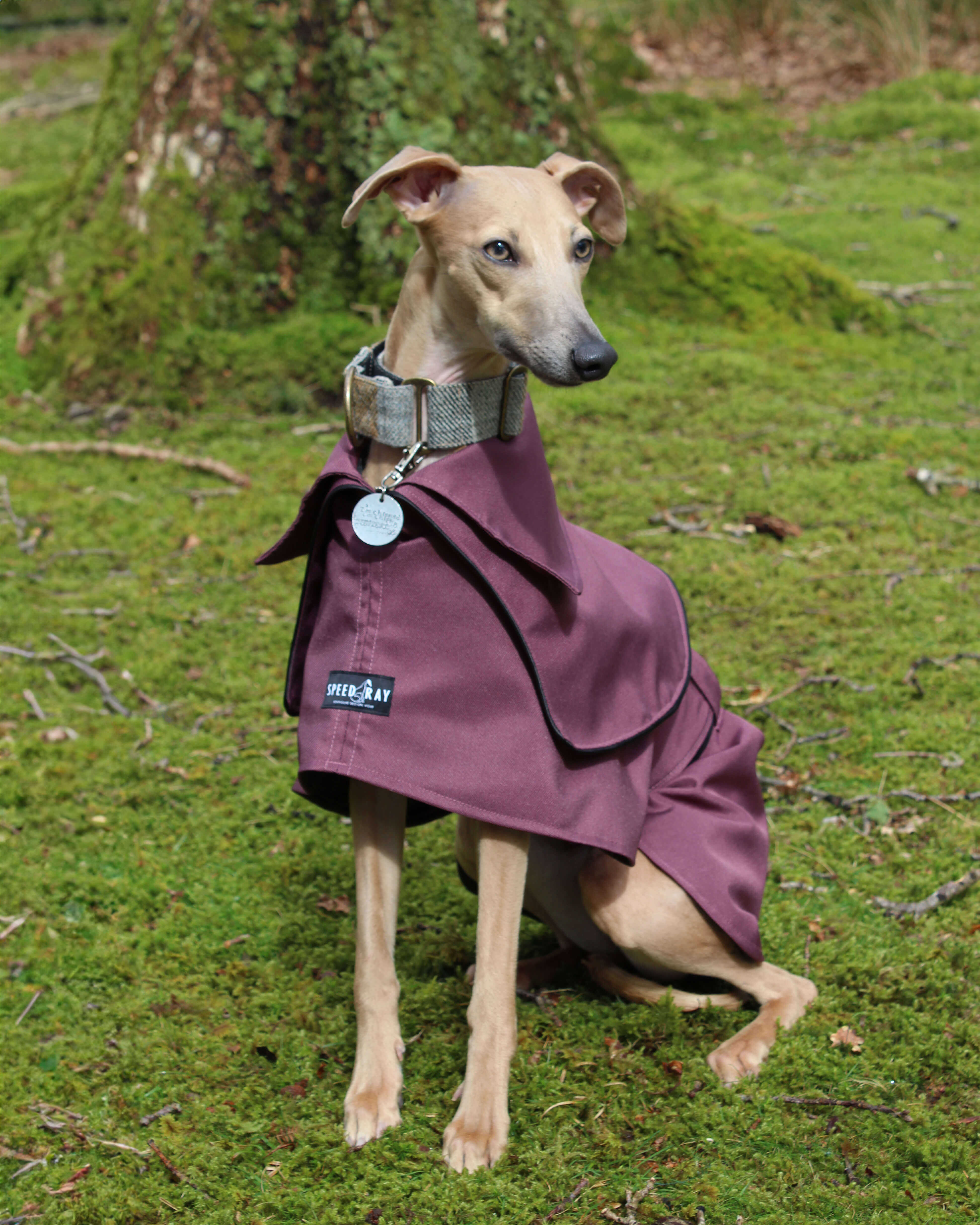 THE ELSA Whippet Trench Raincoat