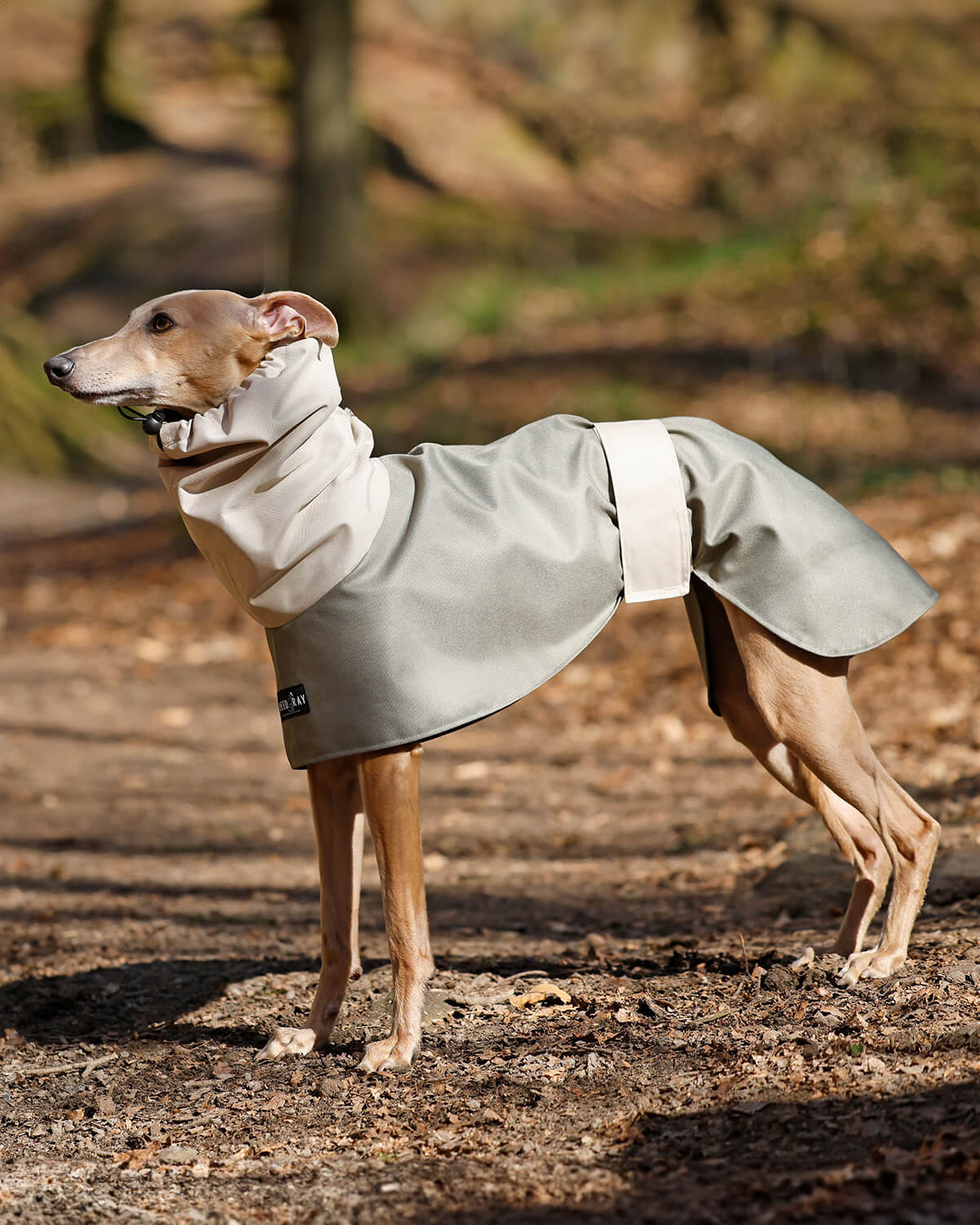 THE ELSA Two Tone Raincoat - Greyhound Size