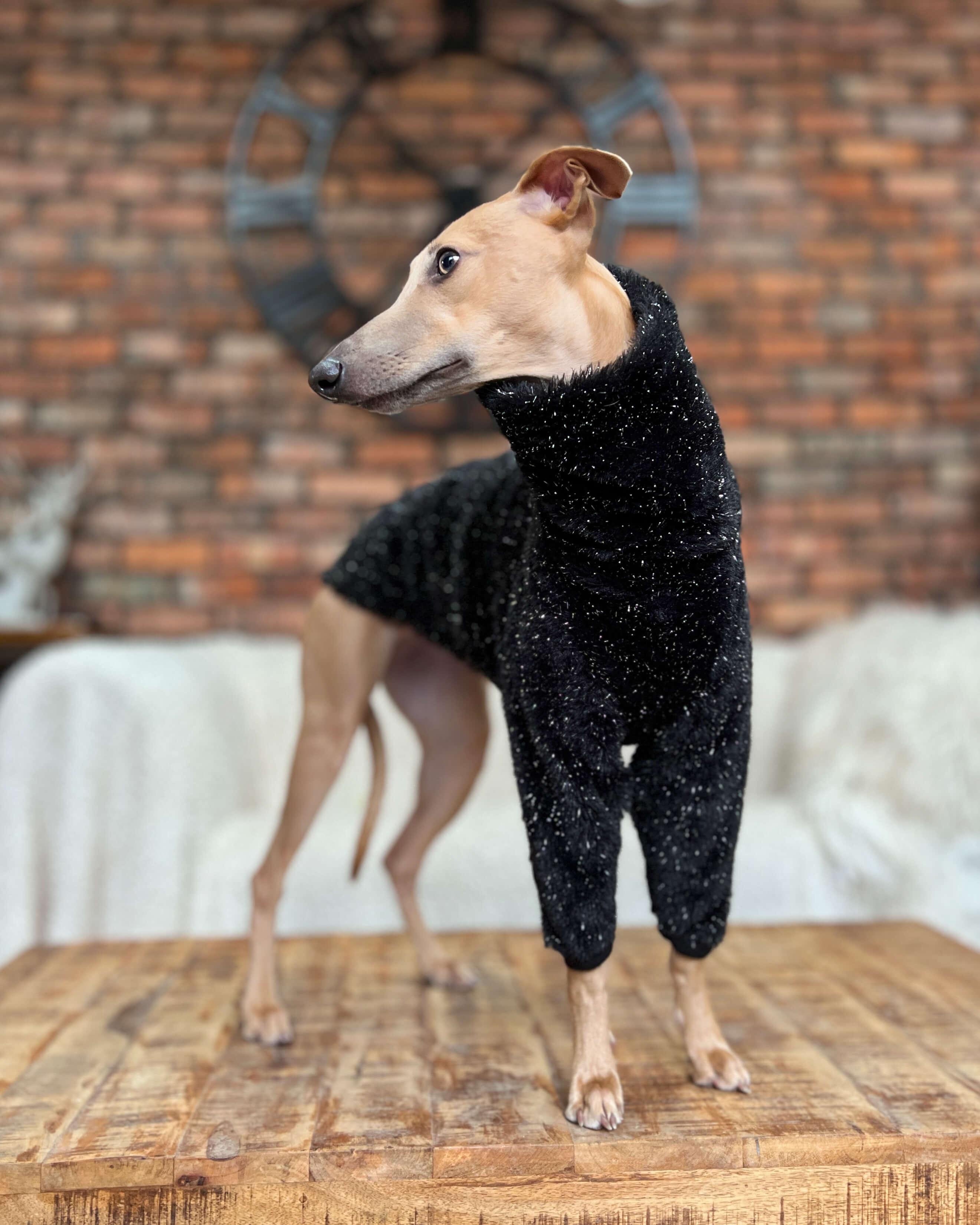Faux Fur Whippet Jumper