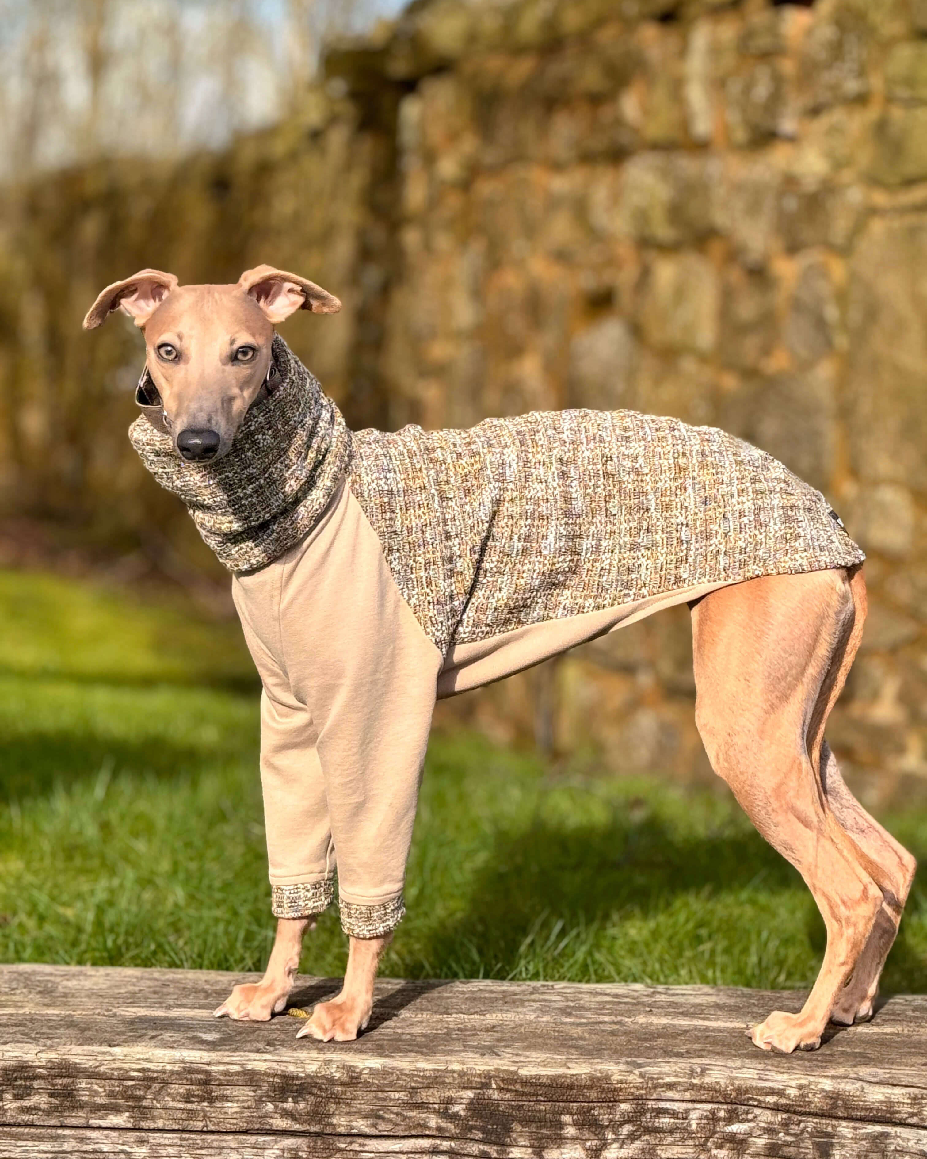 The OPAL Whippet Jumper