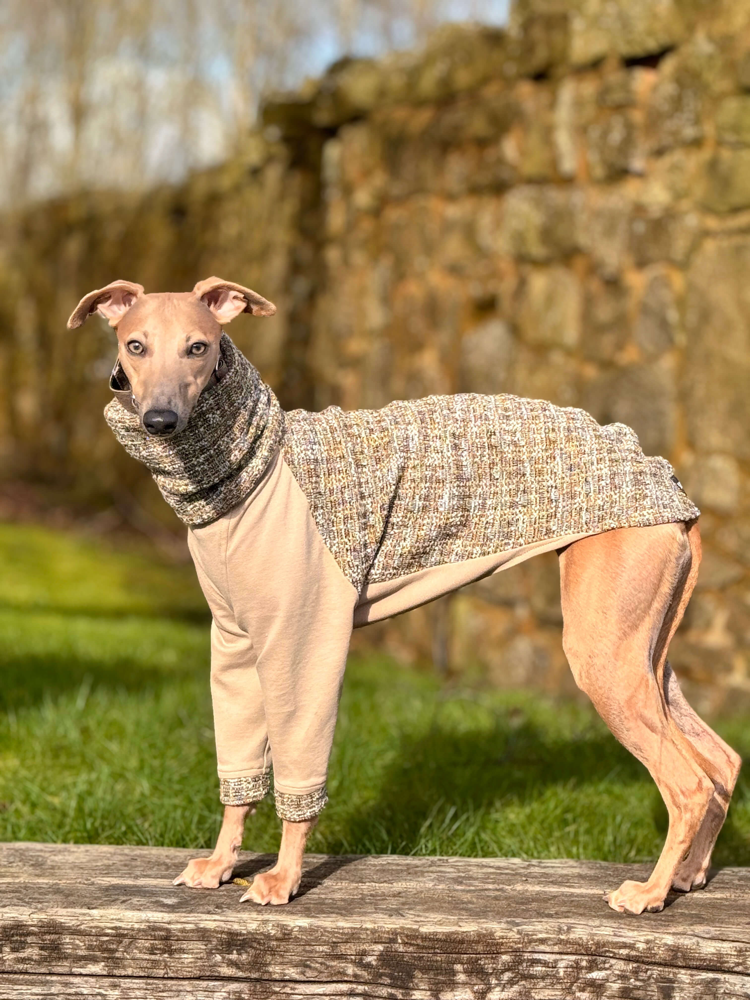 The OPAL Jumper - Greyhound Size