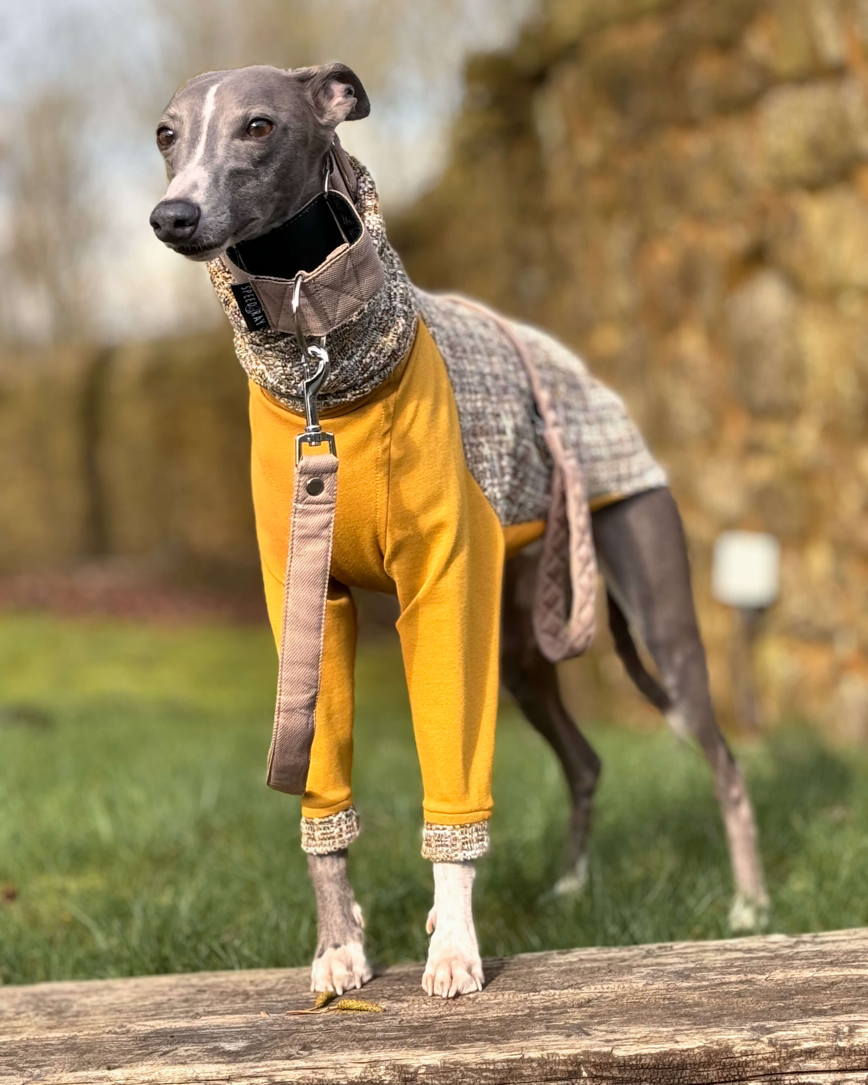 The OPAL Jumper - Greyhound Size