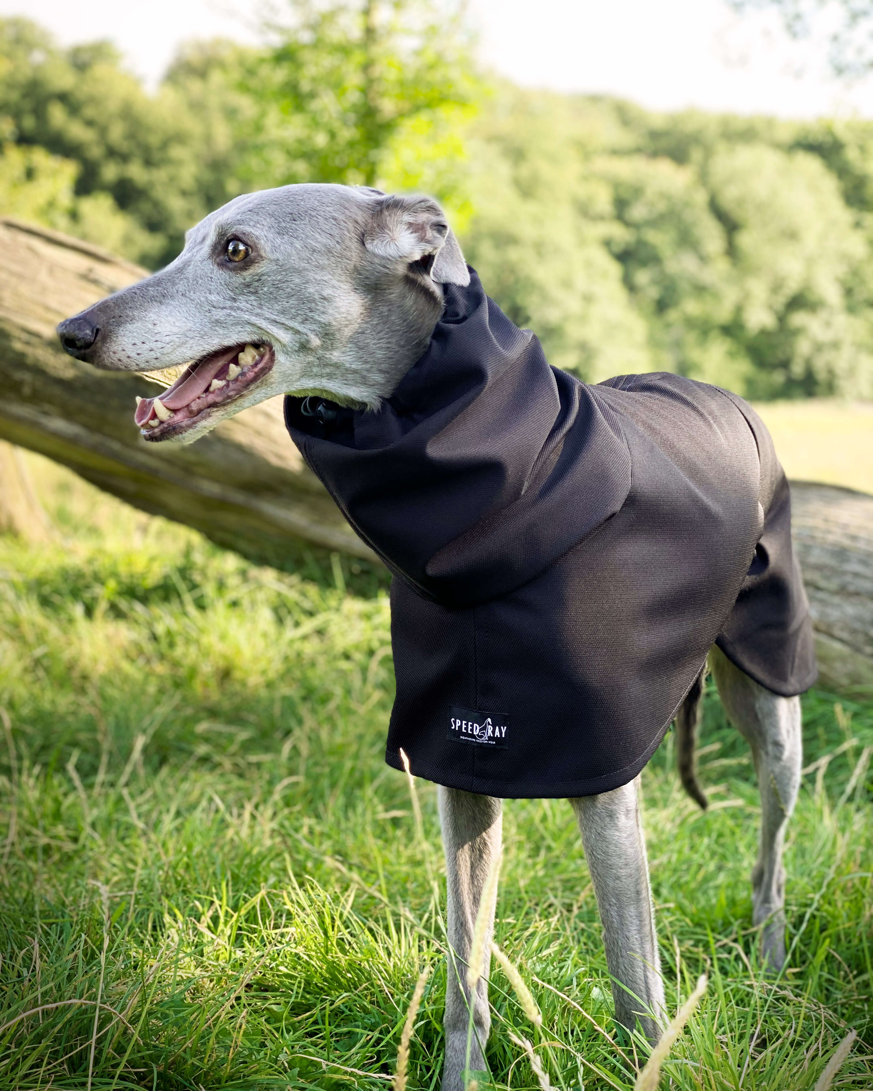 THE THEO Lightweight, Water Resistant, Whippet Raincoat (Darks)