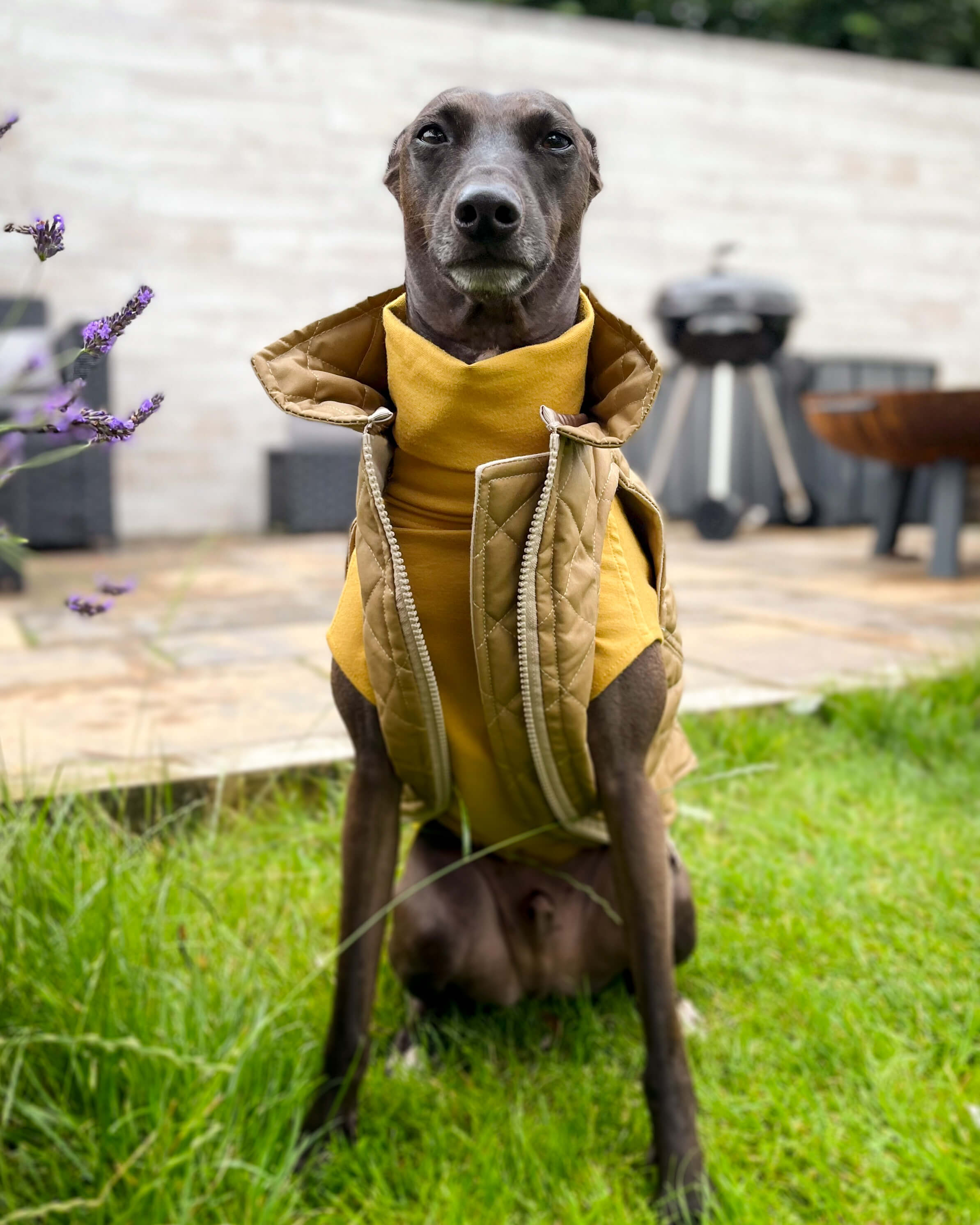 THE MARGOT Gilet - Iggy Size