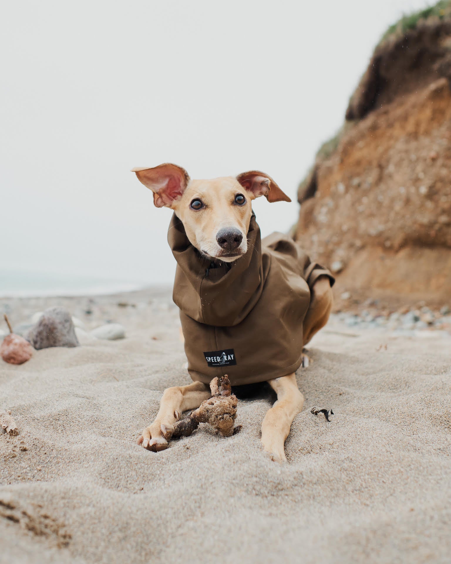 THE ELSA Whippet Raincoat - In Stock