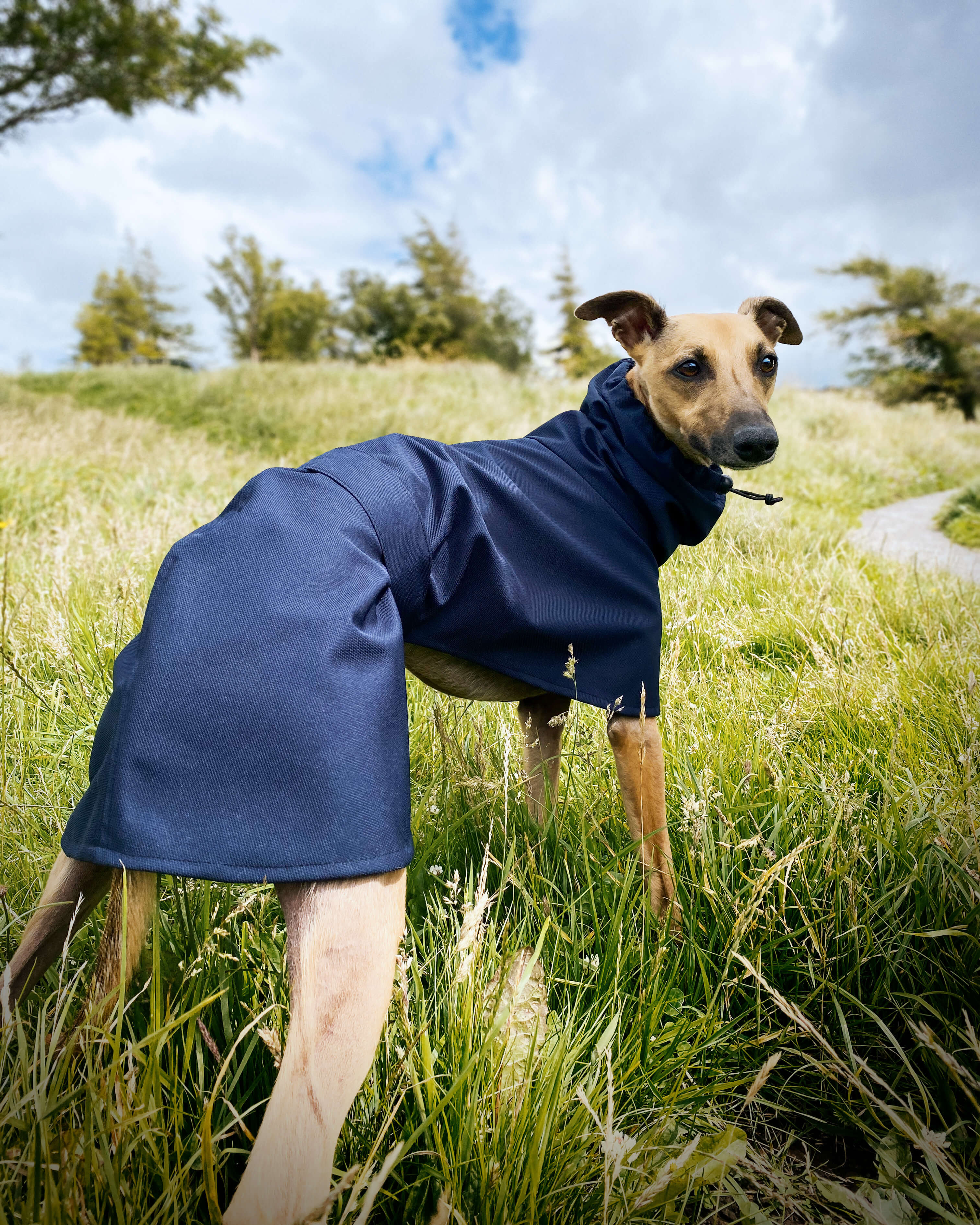 THE BLUE Whippet Raincoat (Blues) - In Stock
