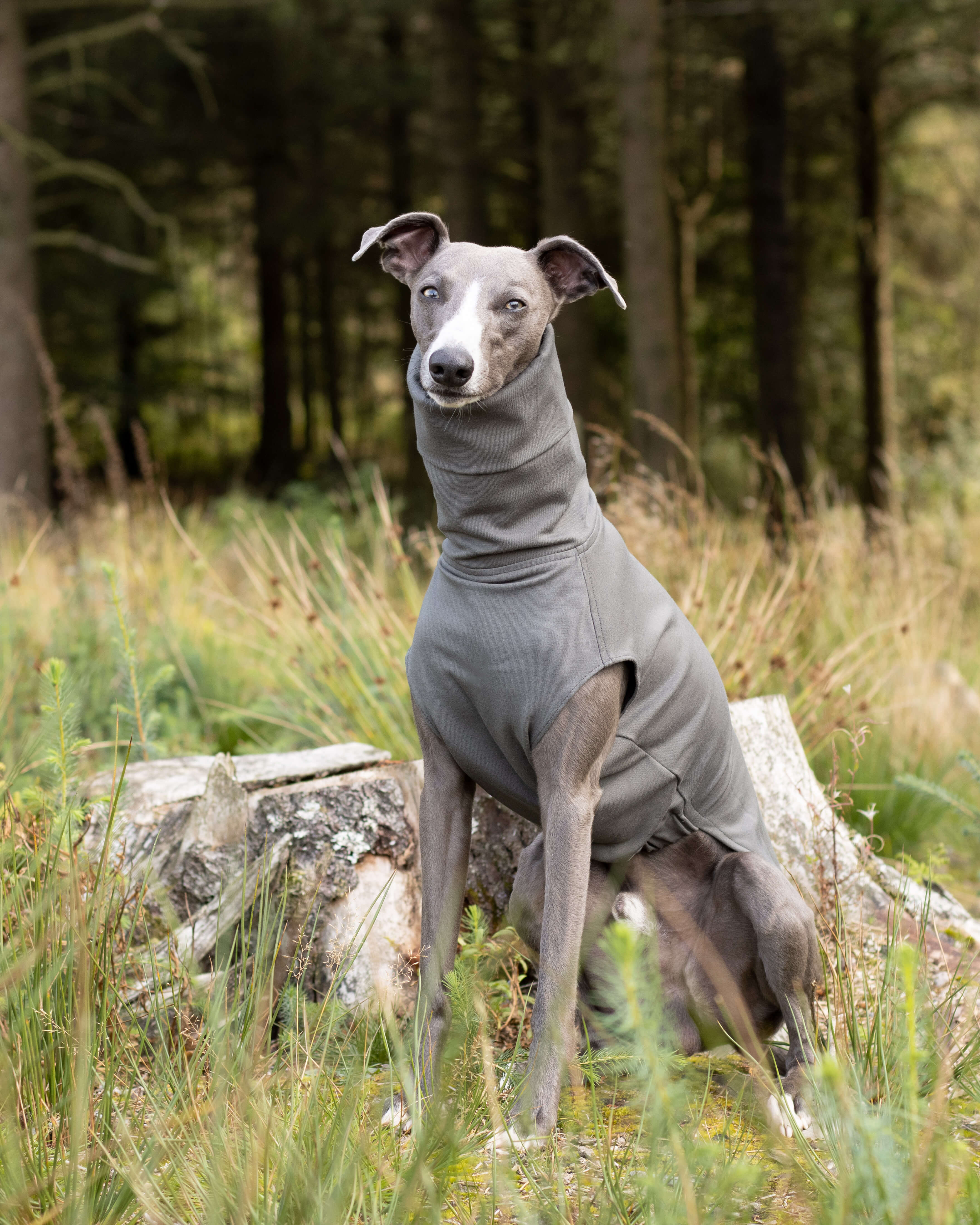 THE CAIRO Jumper (Darks) - Iggy Size