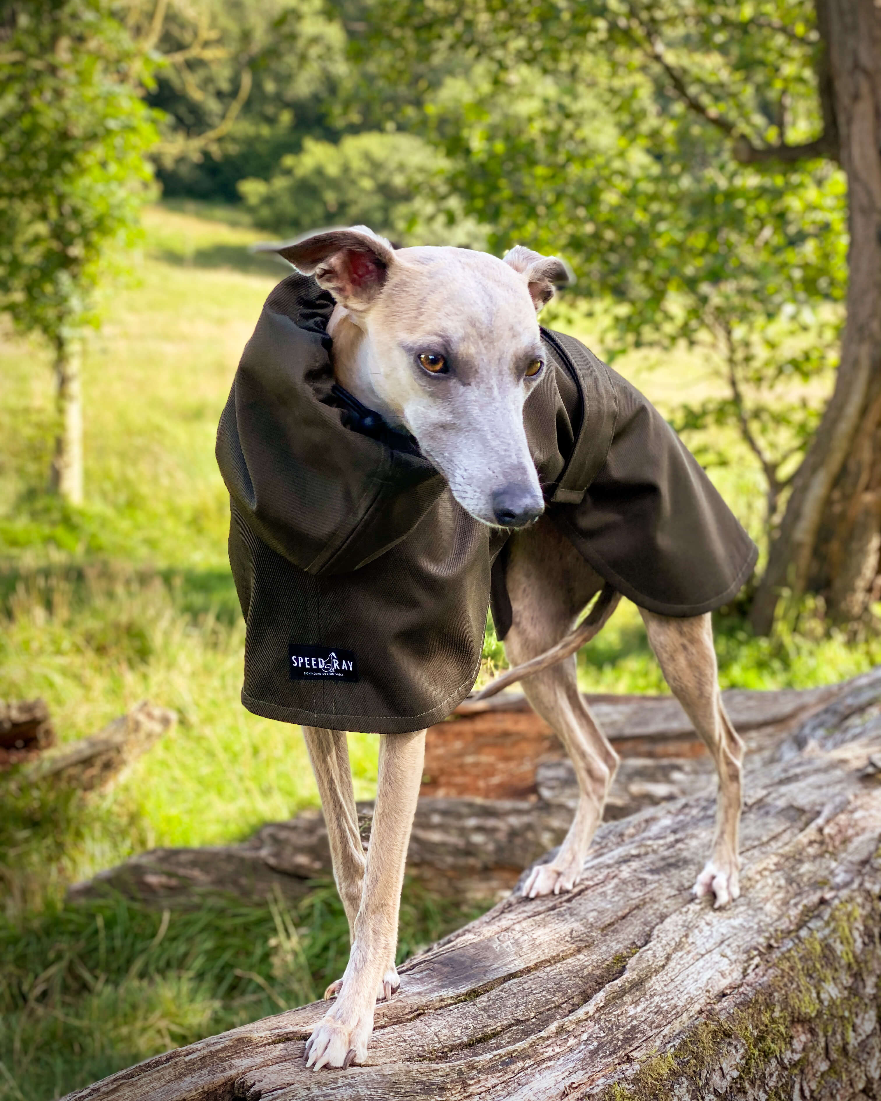 THE THEO Lightweight, Water Resistant, Whippet Raincoat (Darks)