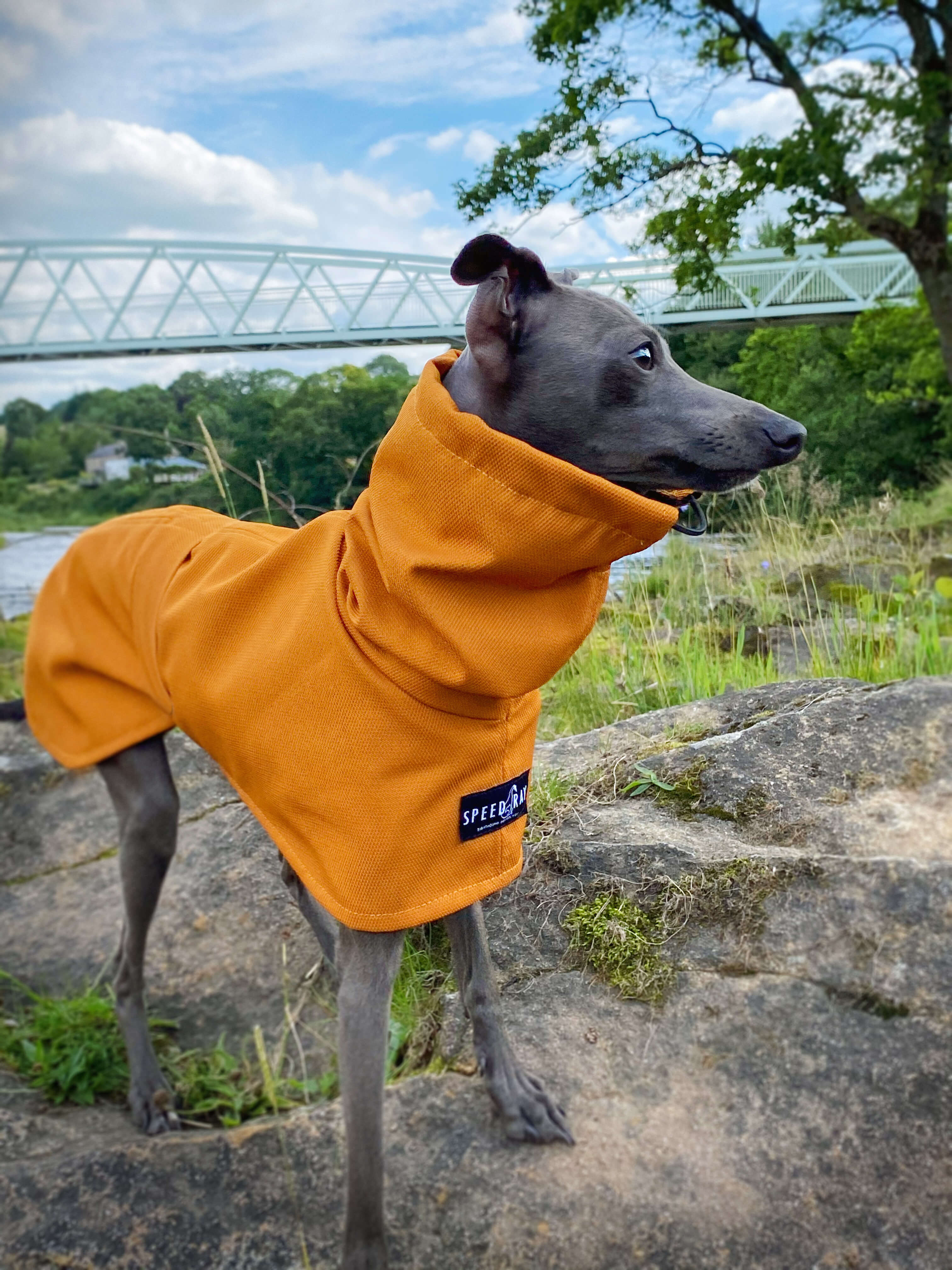 THE ROXY Raincoat - Iggy Size
