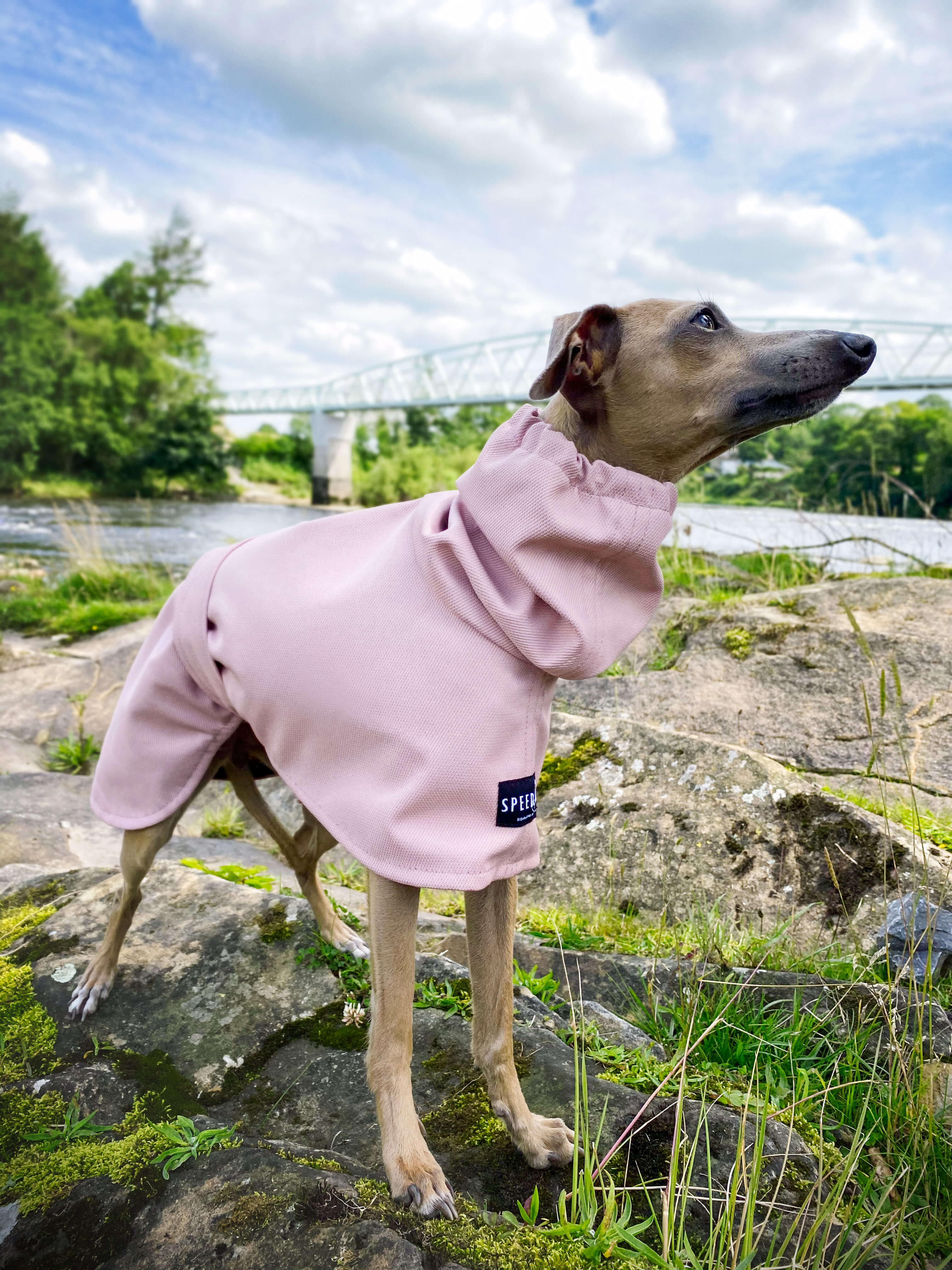 THE ROXY Raincoat - Iggy Size