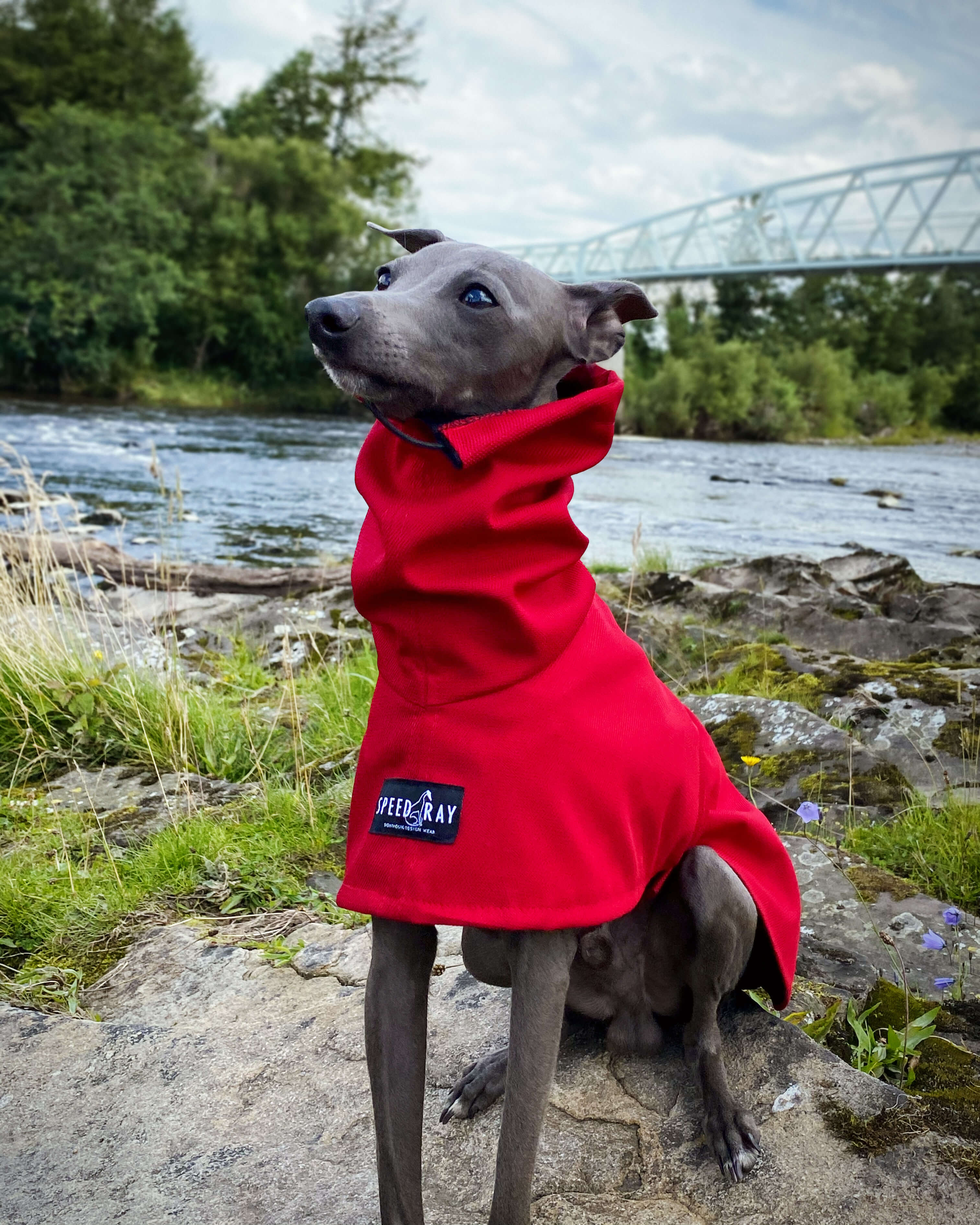 THE ROXY Raincoat - Iggy Size