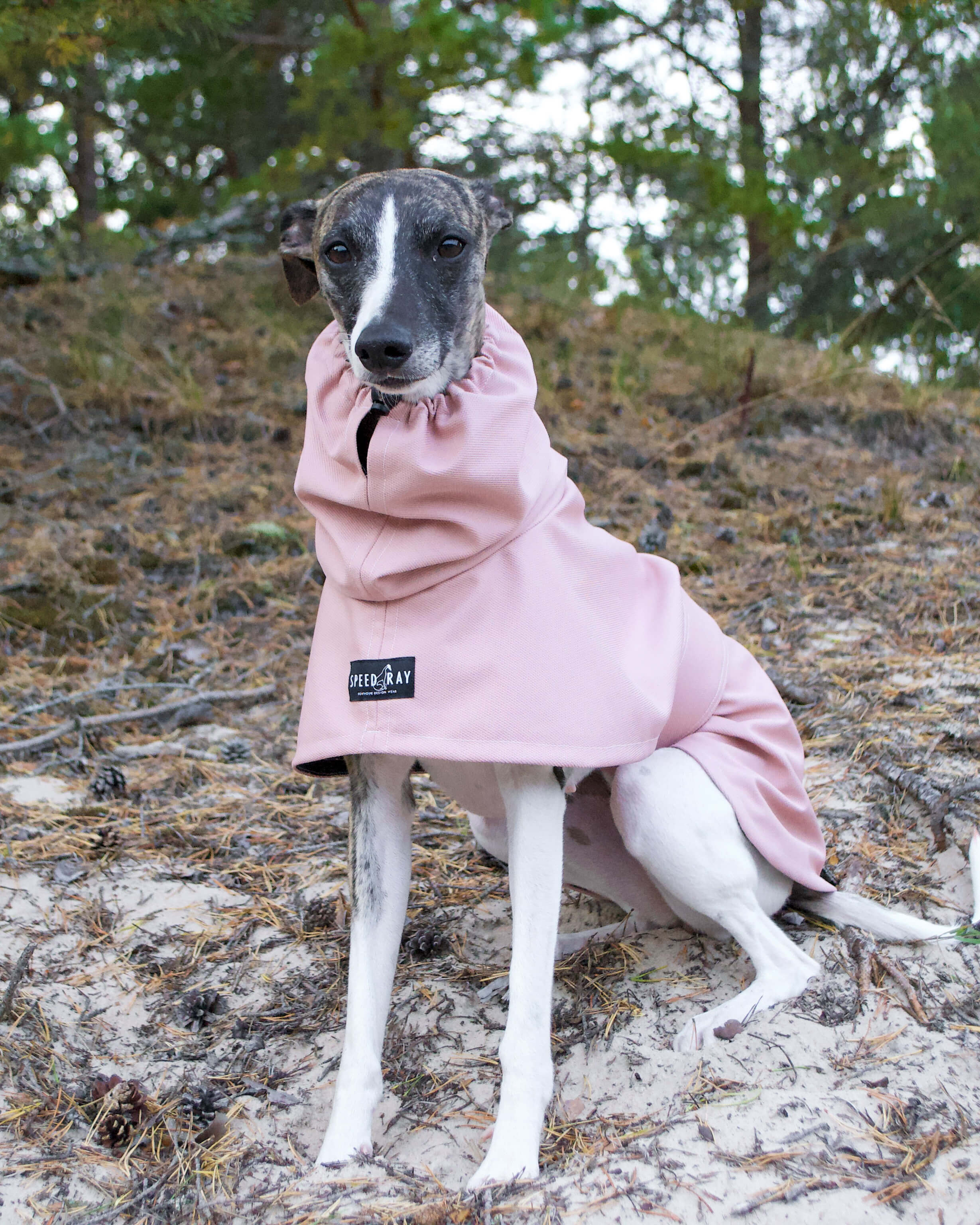 THE ROXY Whippet Raincoat (Lights) - In Stock