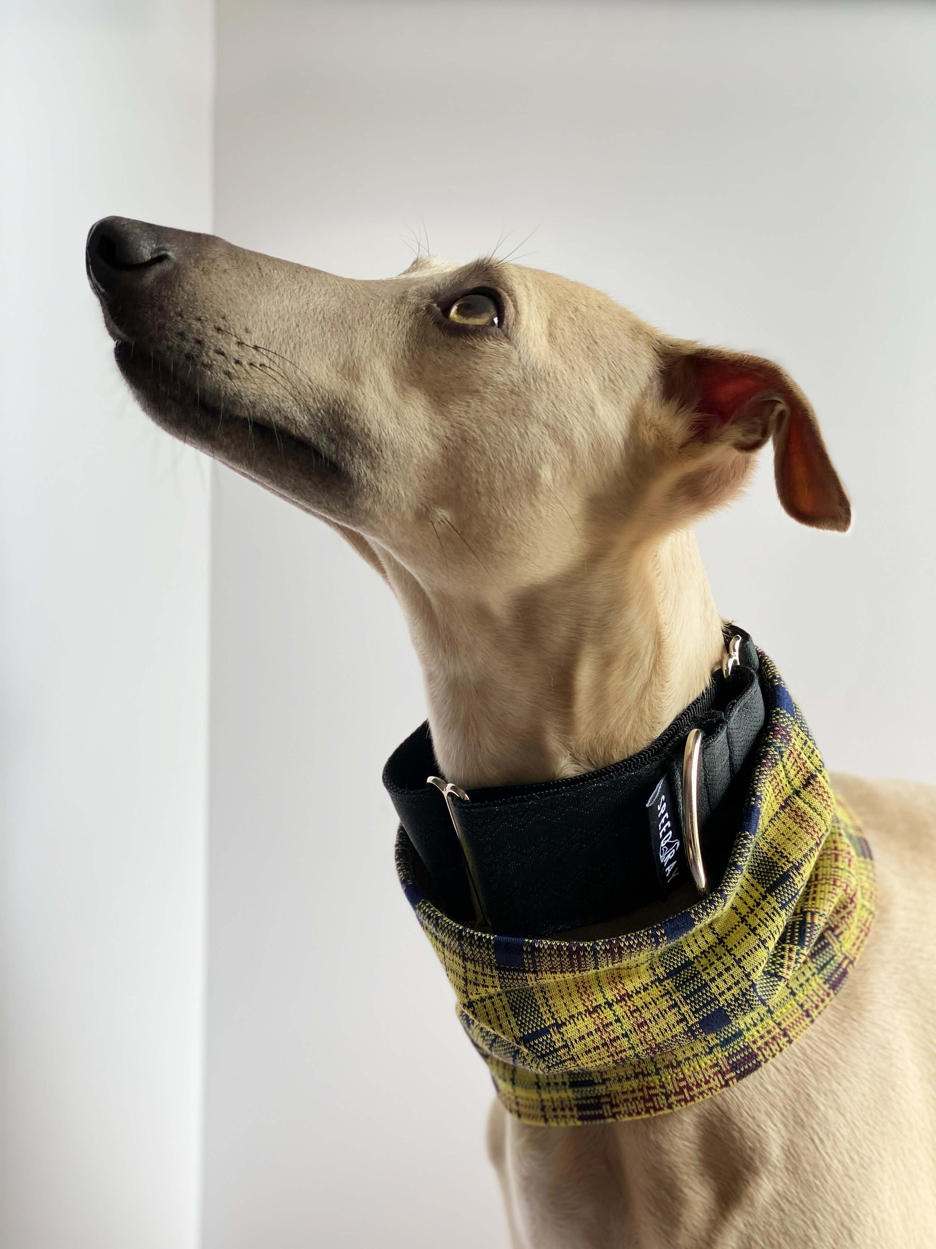THE WILLOW Tartan Check Sighthound Snood