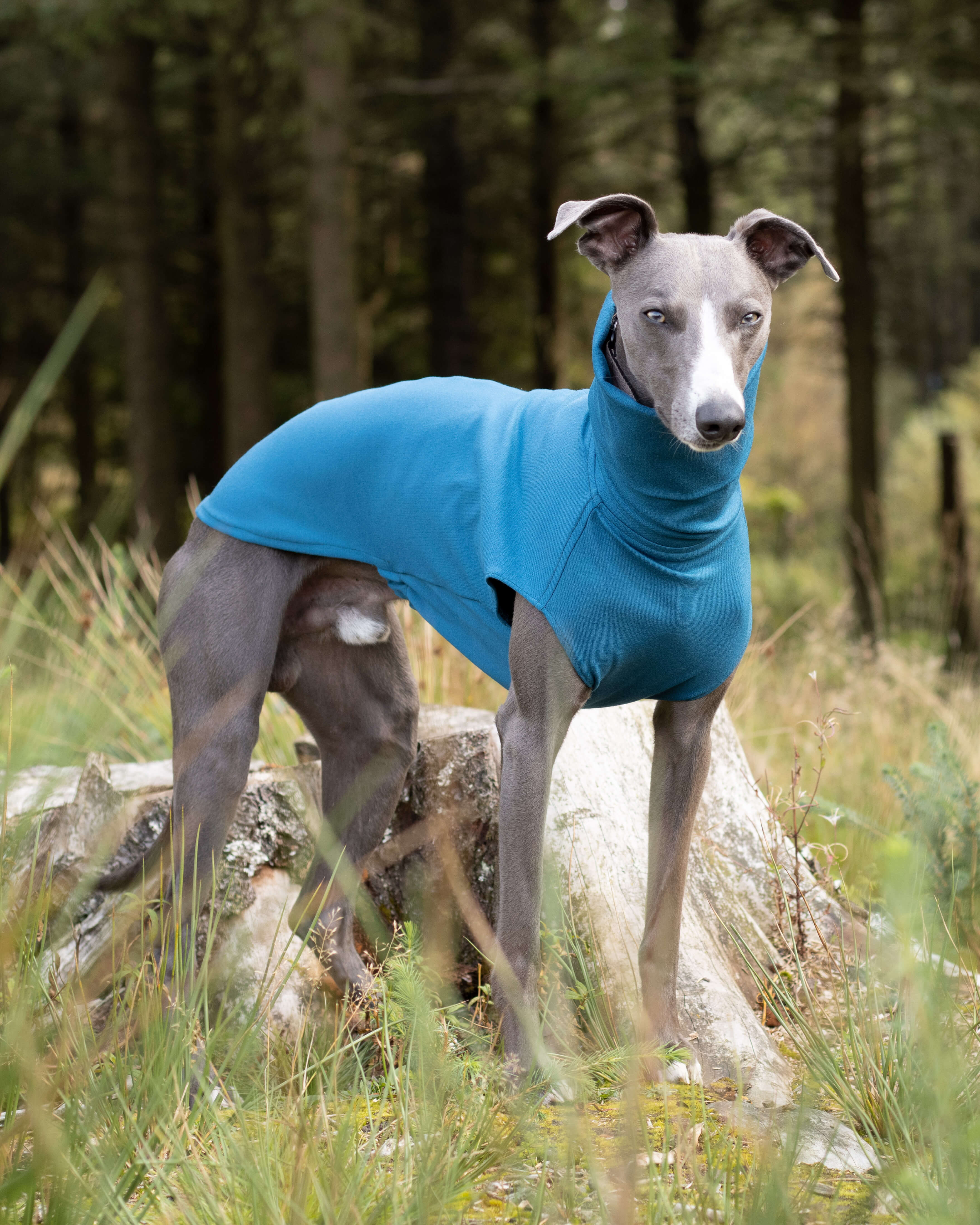 THE CAIRO Whippet Jumper (Blues)
