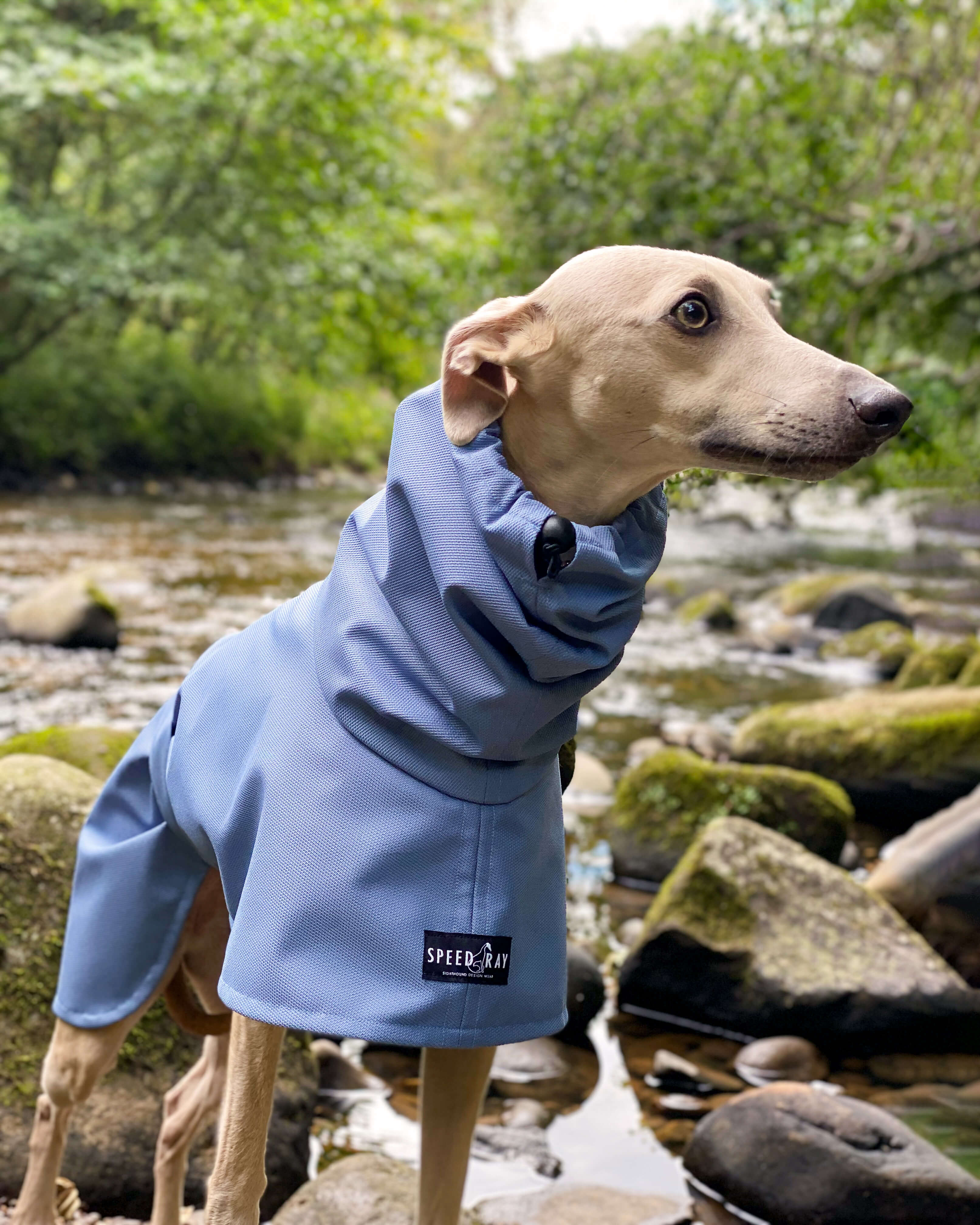 THE BLUE Whippet Raincoat (Blues) - In Stock