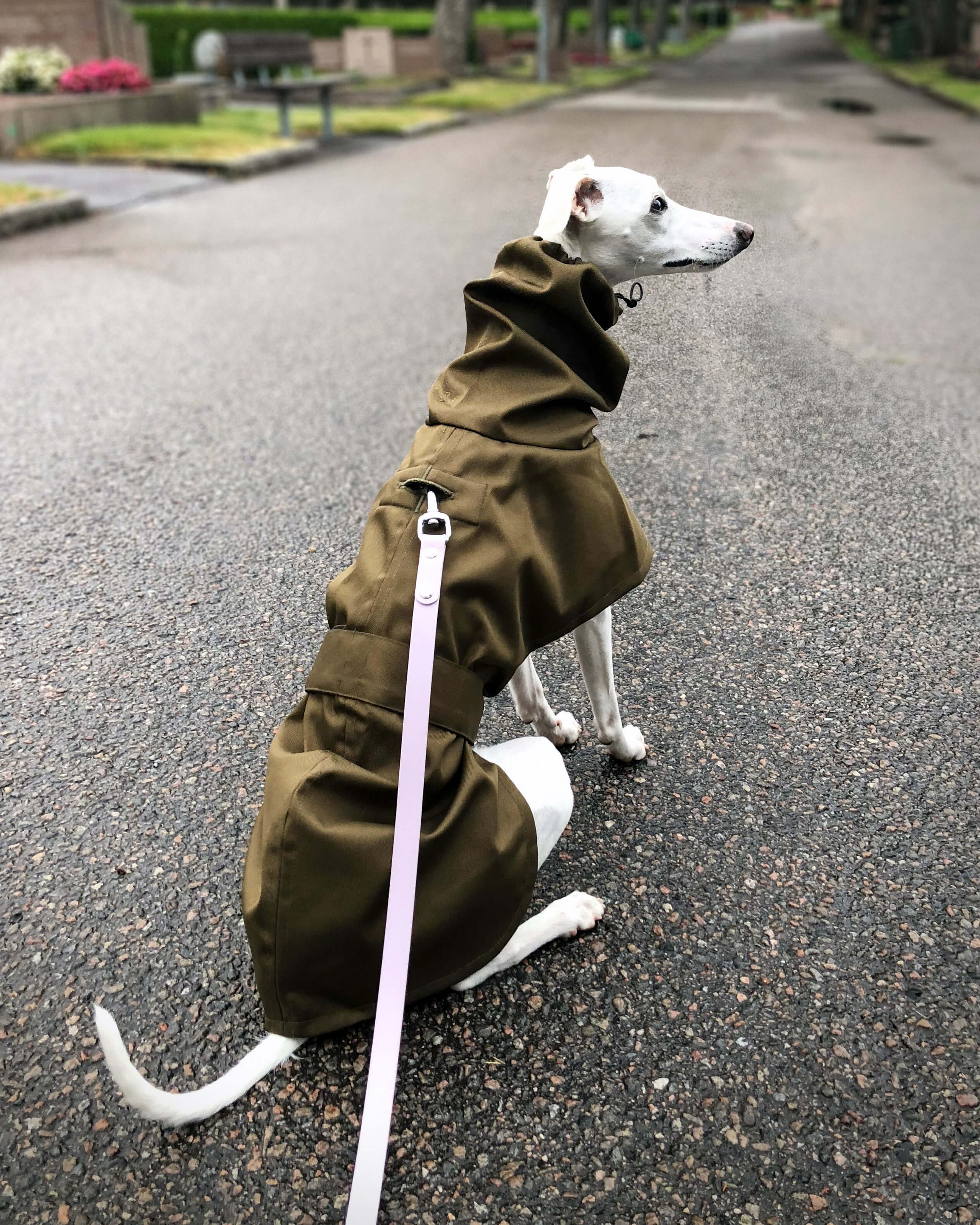 THE ELSA Raincoat - Iggy Sizes