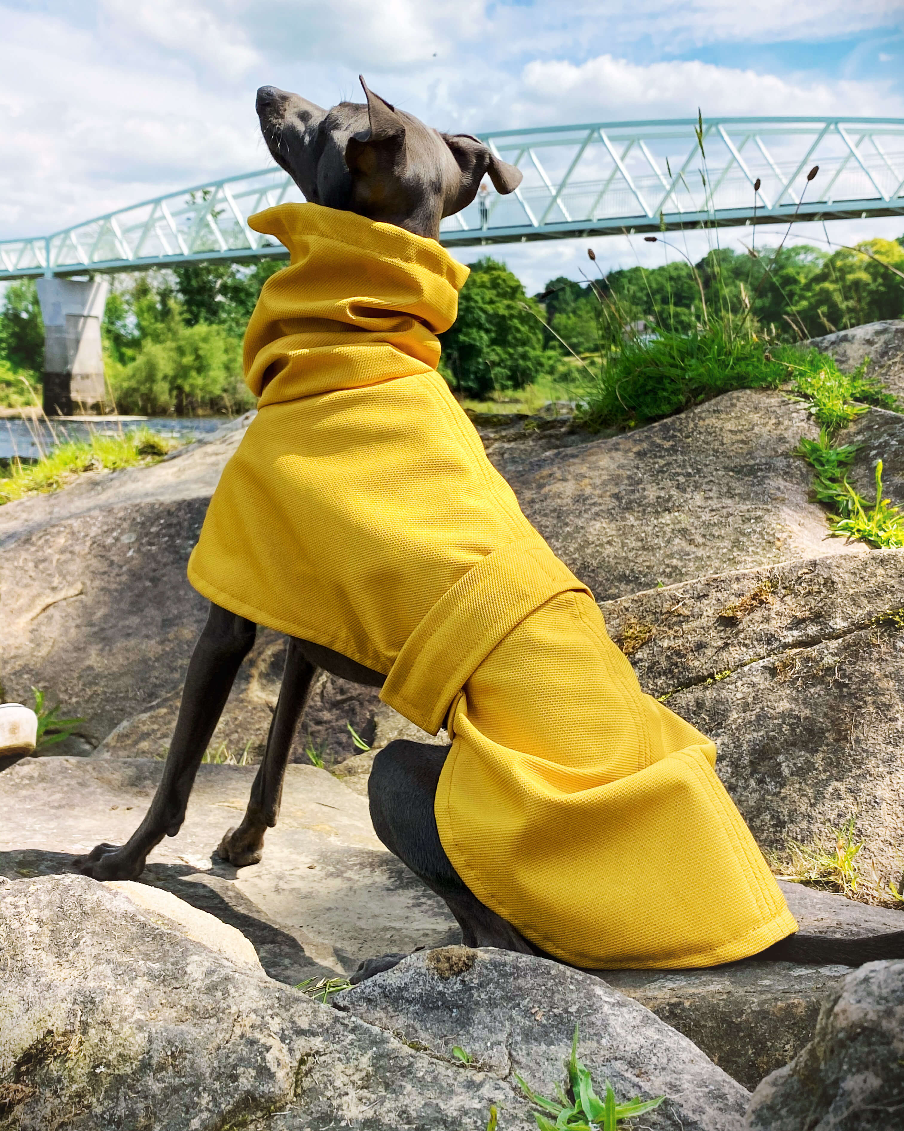 THE ROXY Raincoat - Iggy Size