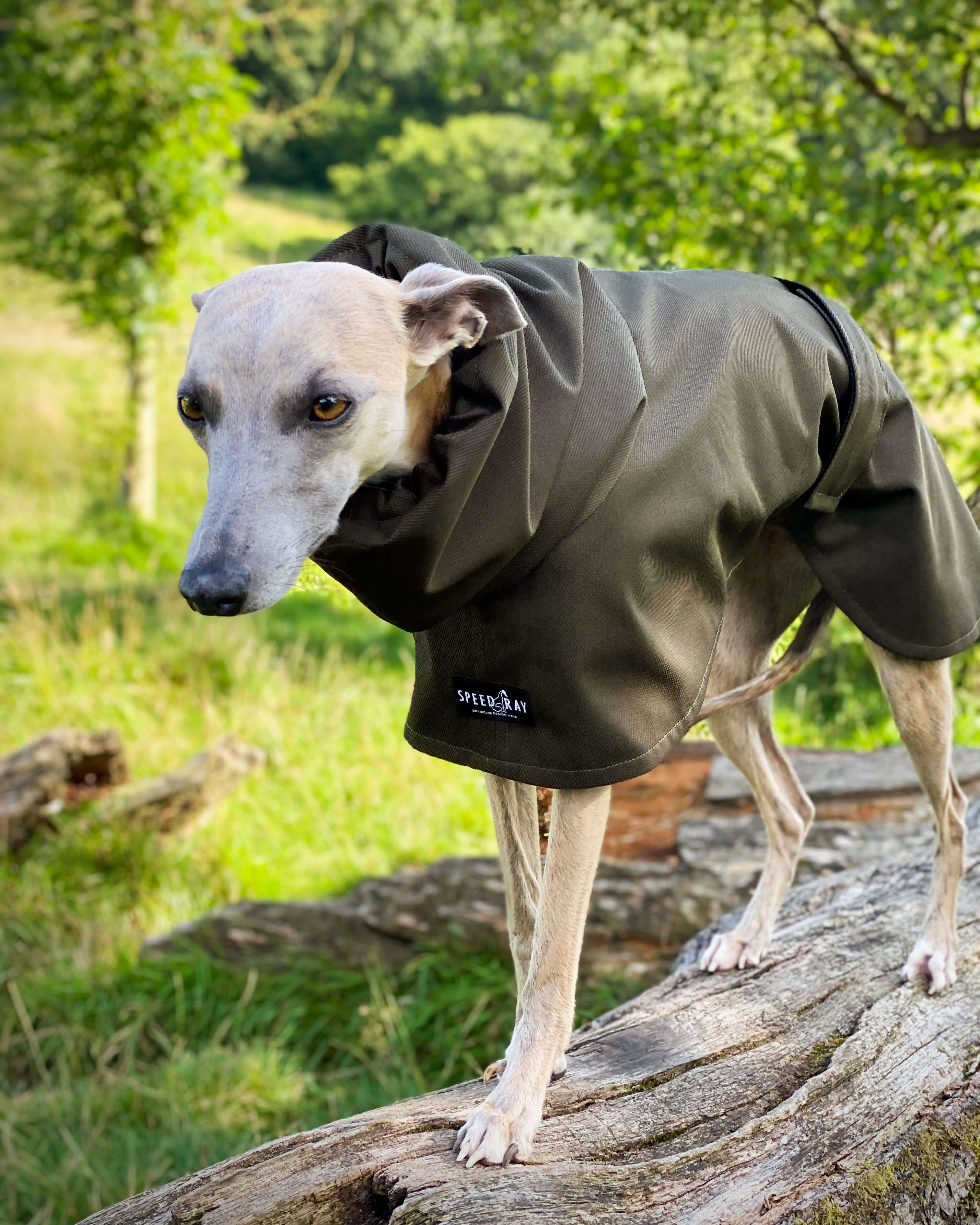 THE THEO Lightweight, Water Resistant, Whippet Raincoat (Darks)