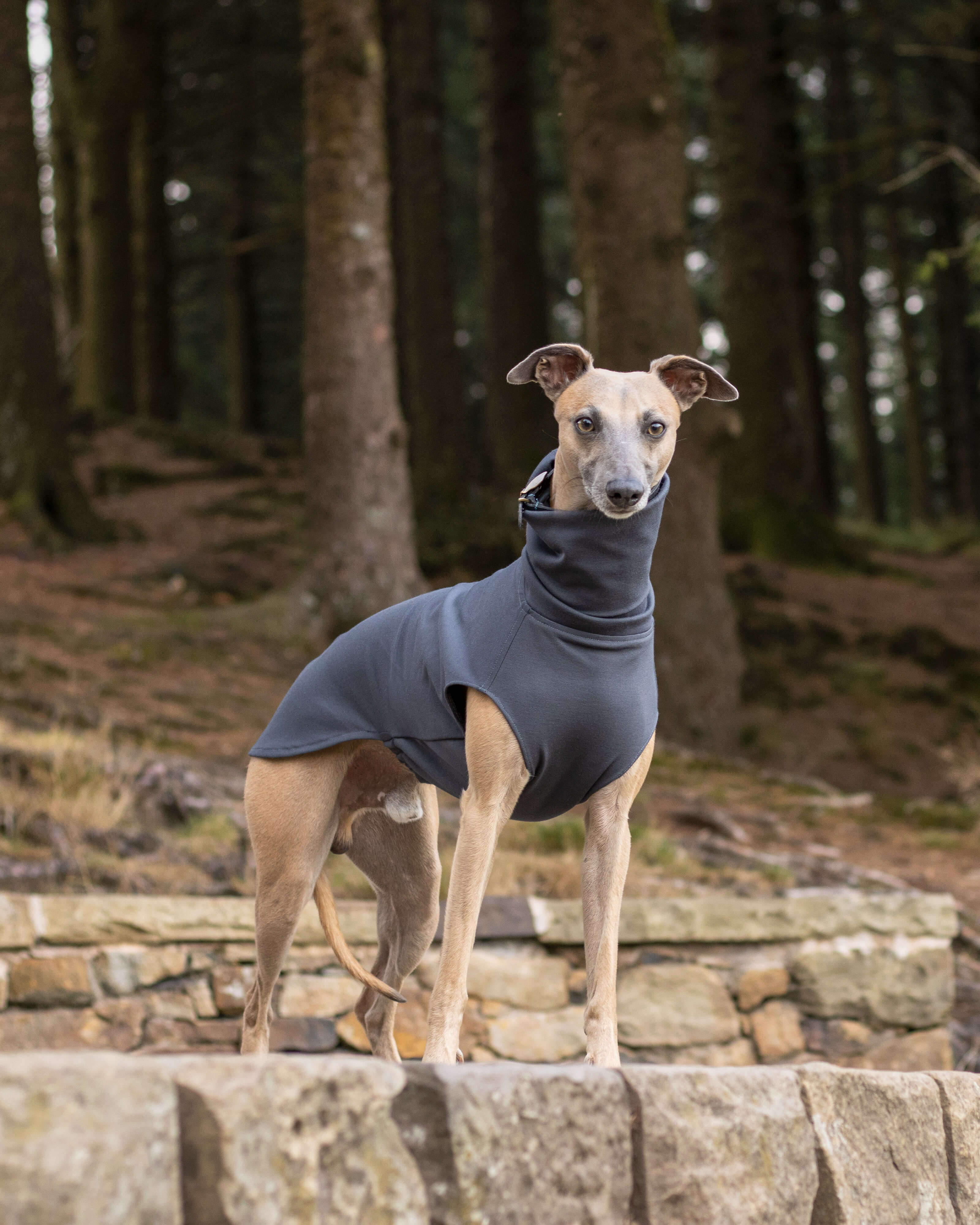 THE CAIRO Jumper (Darks) - Iggy Size