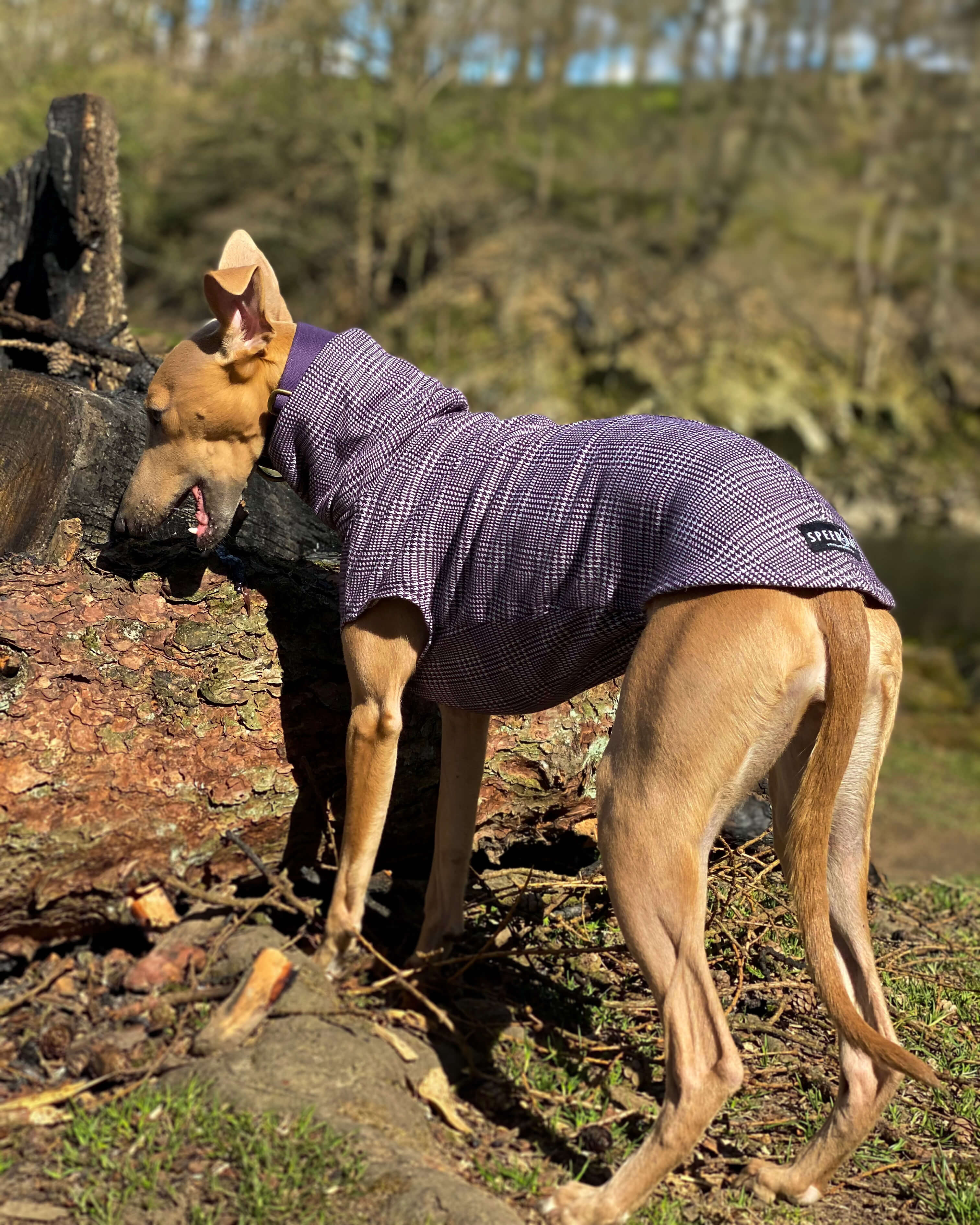 THE MADDY Dog Tooth Check Whippet Jumper