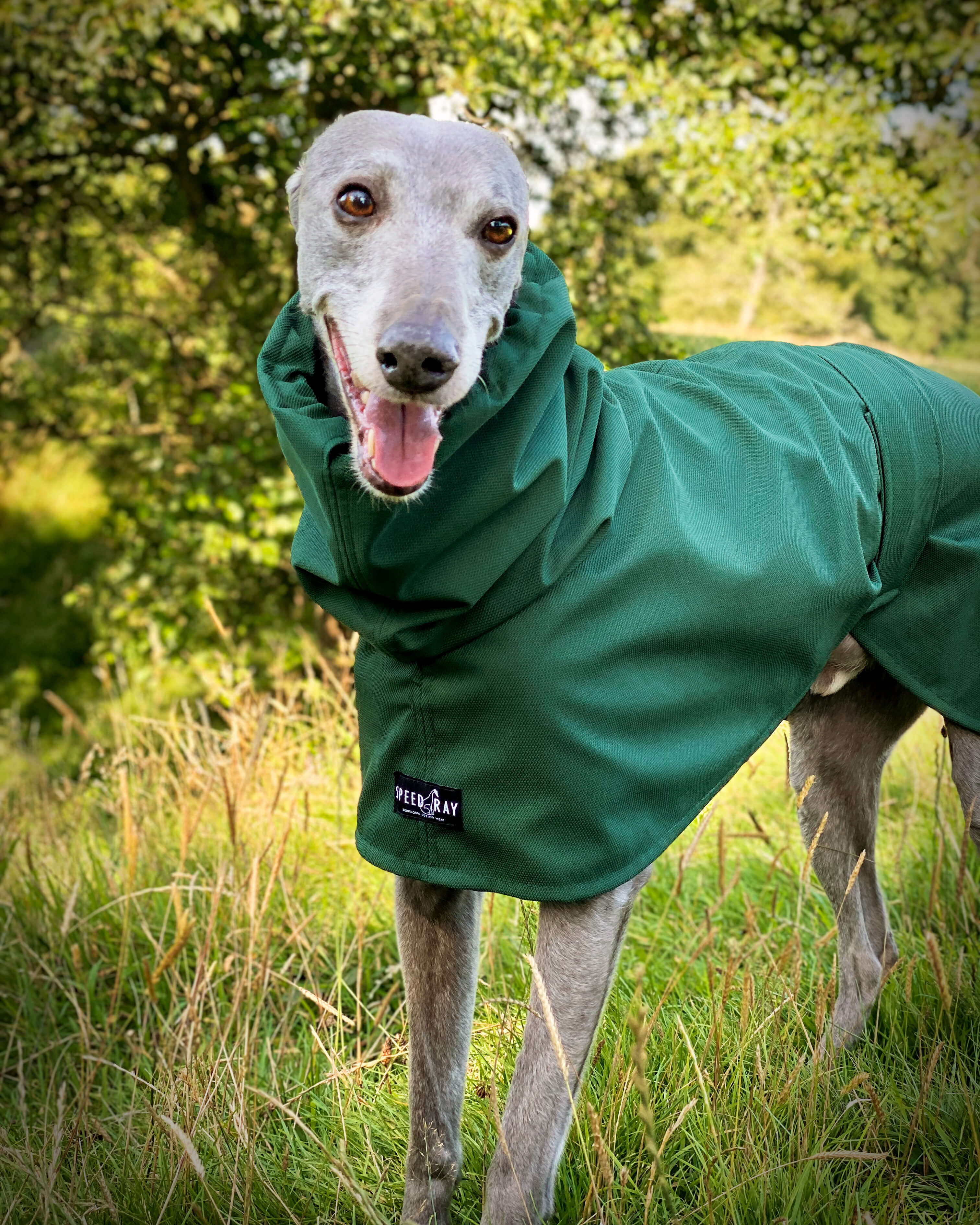 THE THEO Lightweight, Water Resistant, Whippet Raincoat (Darks)