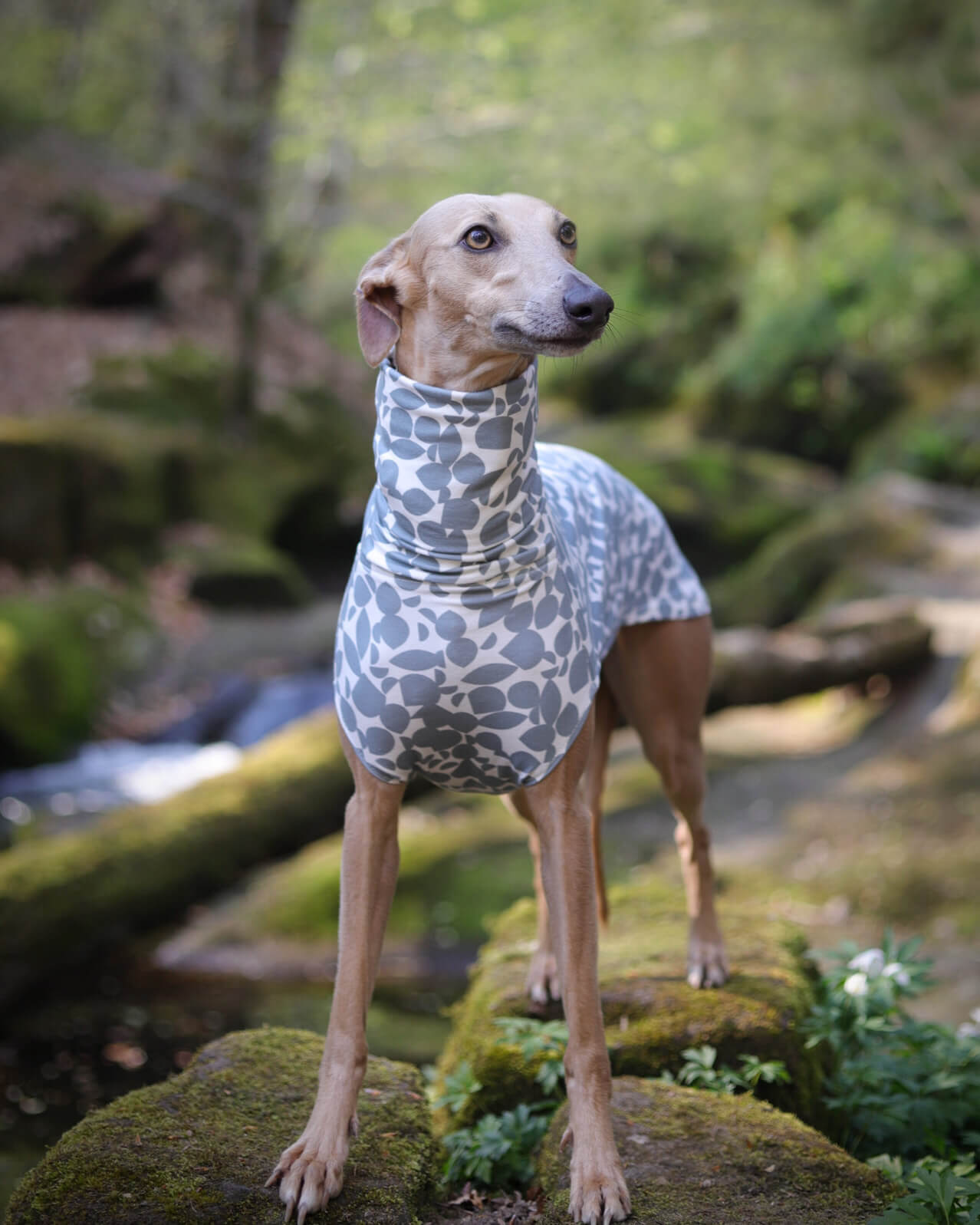 THE SKY T-Shirt - Greyhound Size