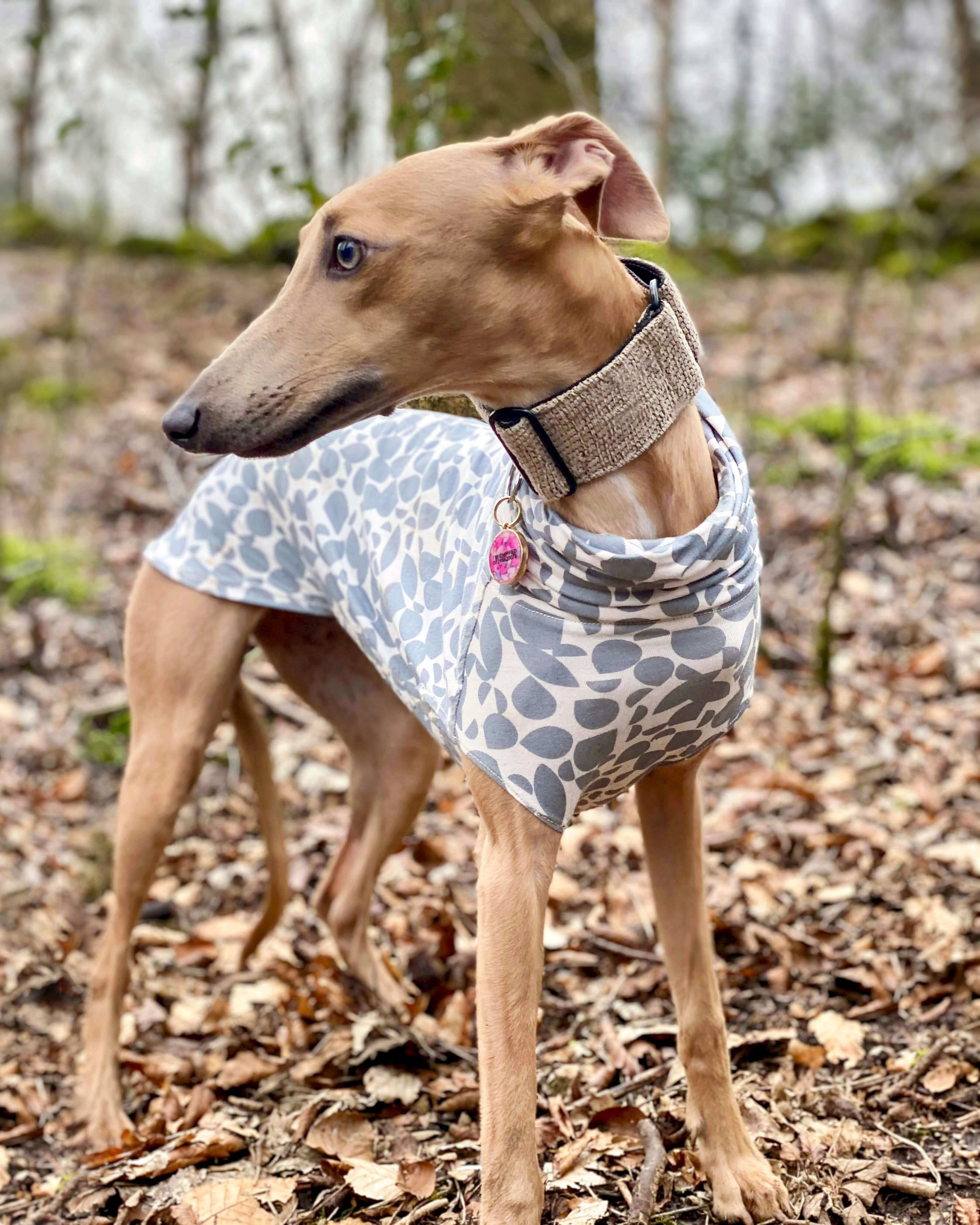 THE SKY T-Shirt - Greyhound Size